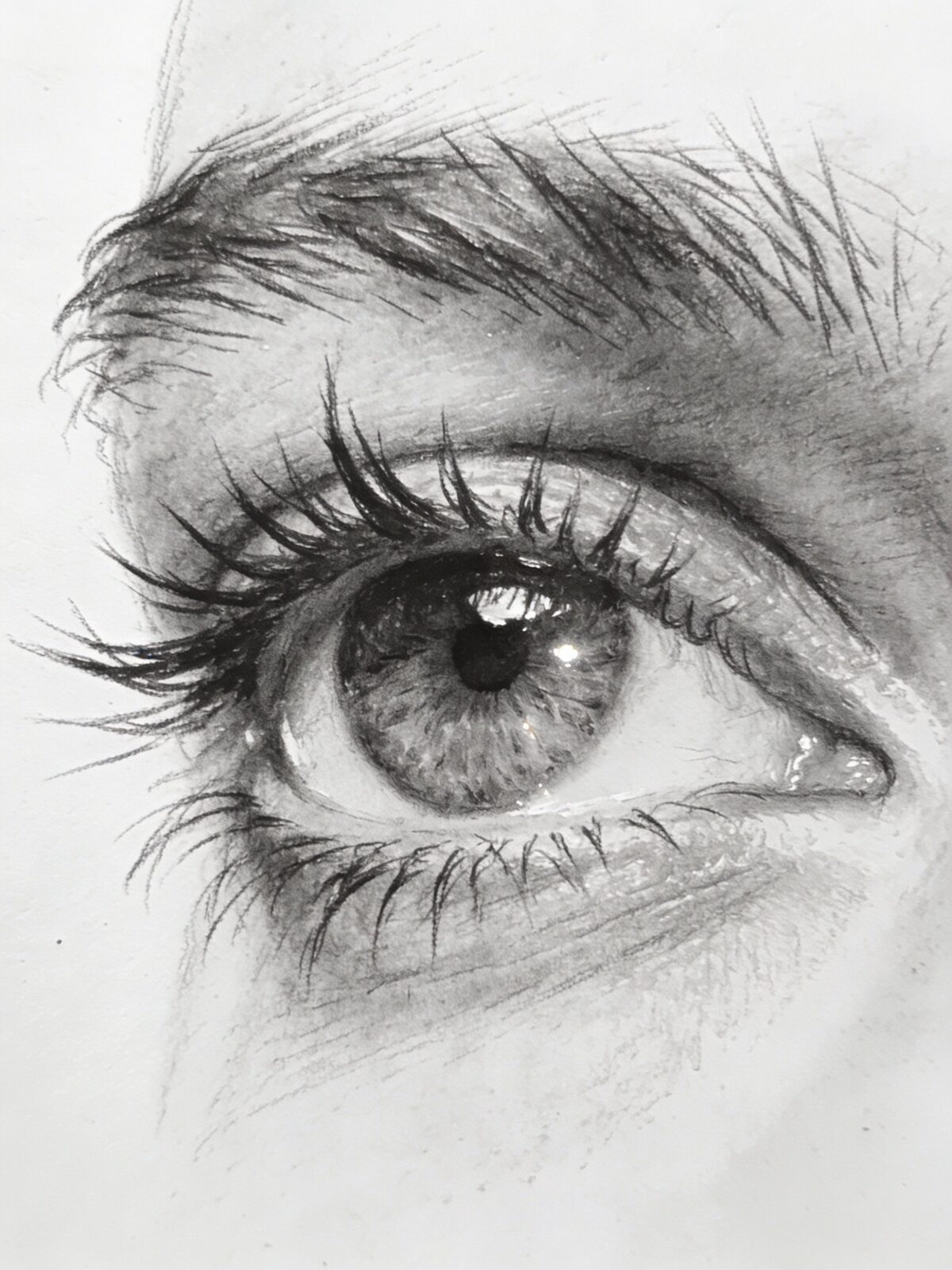 Pencil Drawing: Complete Beginner to Advanced Guide