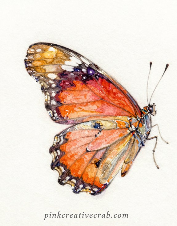 overlapping butterfly wing scales in color