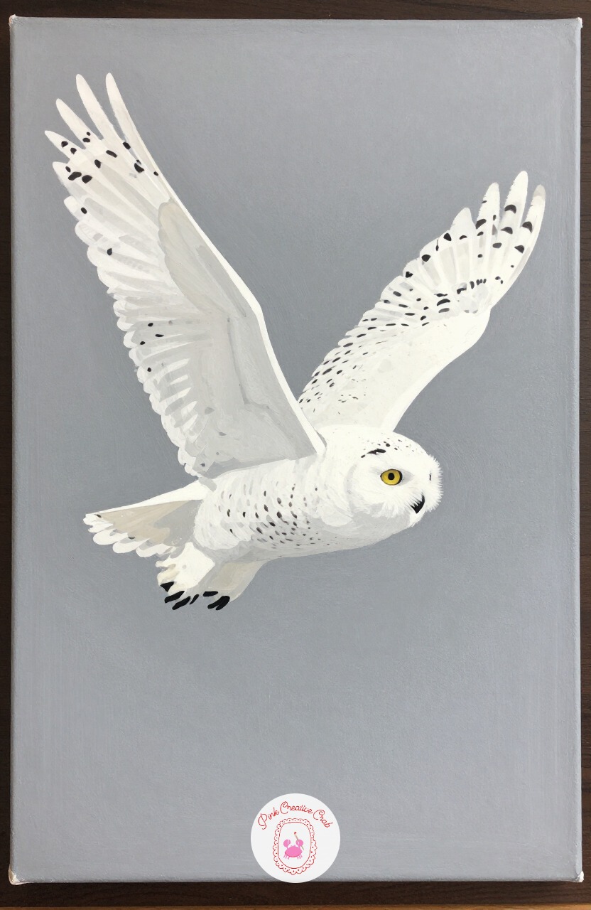 Snowy Owl in Flight — A snowy owl with wings spread is a different challenge from a perched owl, since the whole body reads through soft white on white. Winter