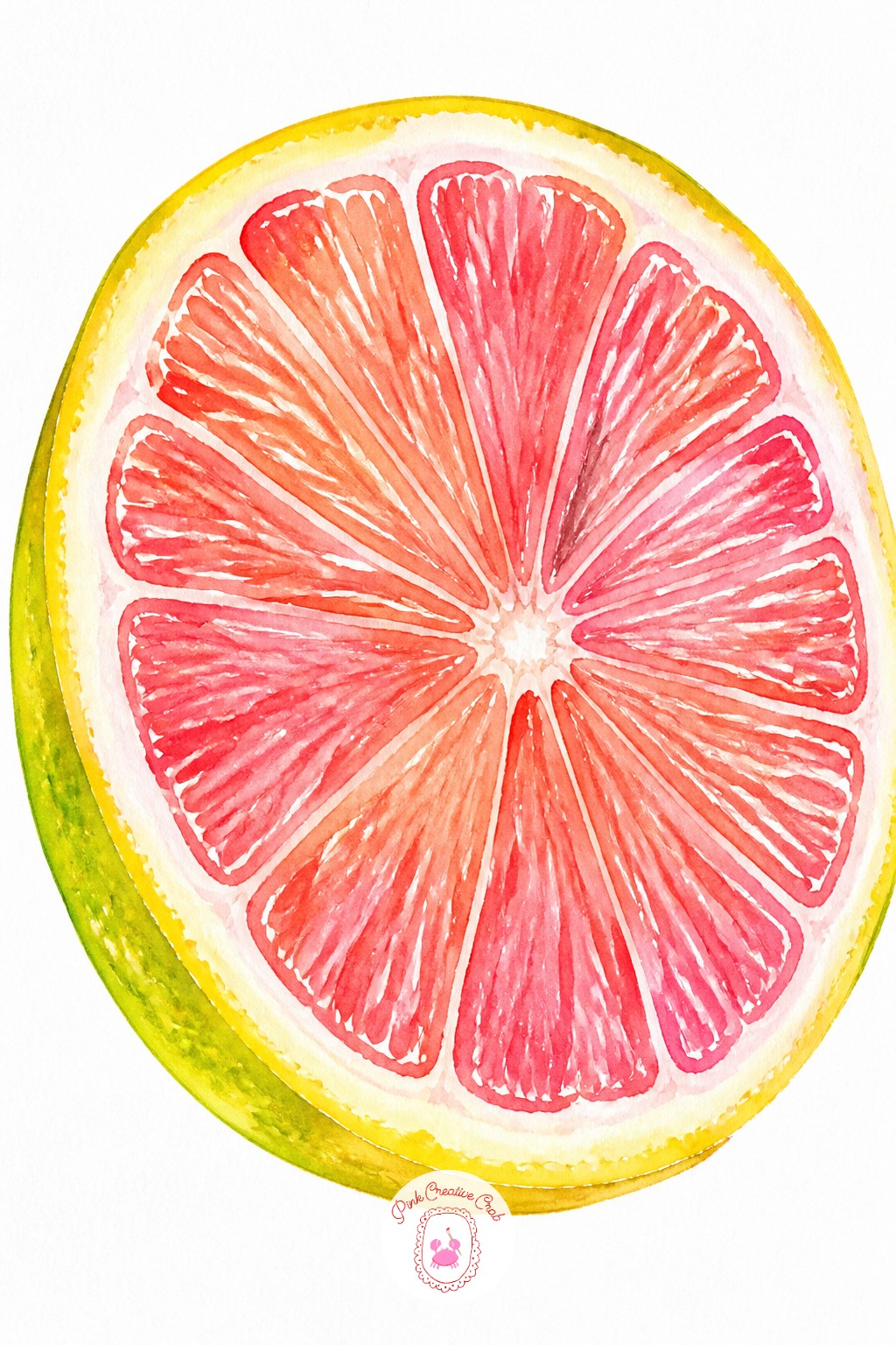 Pink Grapefruit Half — A grapefruit half is a good next step after smaller citrus, since the segments are larger and forgiving of a shaky hand. Watercolor inspo