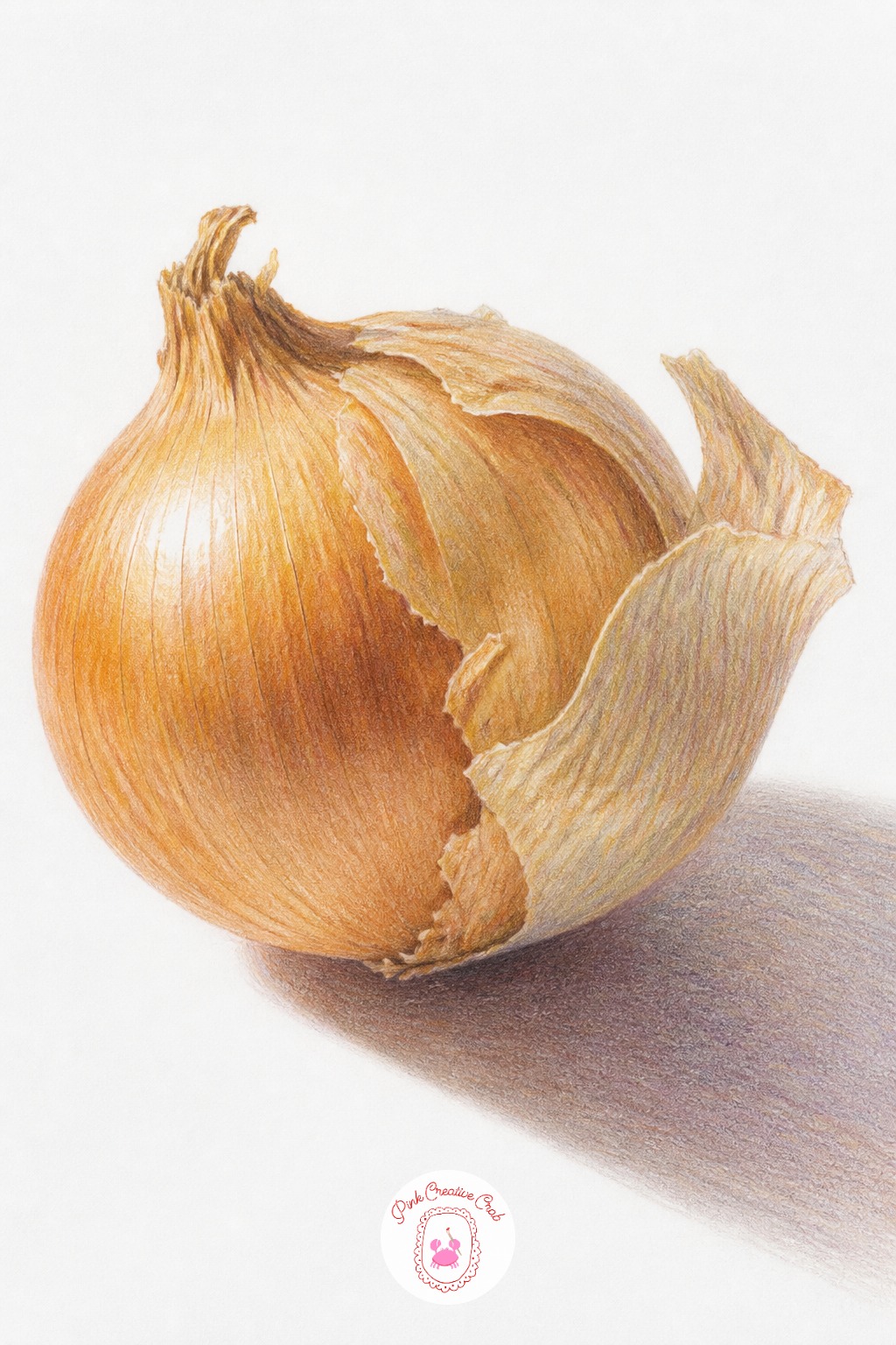 Onion With Papery Skin Peeling — Check the onion's width against its height before shading anything, since most kitchen onions sit a little wider than they are