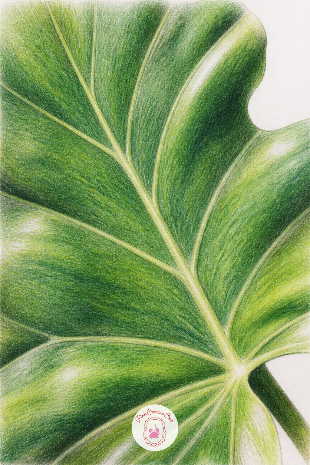 Houseplant Leaf Close Up — Next time, zoom out to show the whole plant instead of a single leaf, which trades this close study of one leaf's veins for a looser