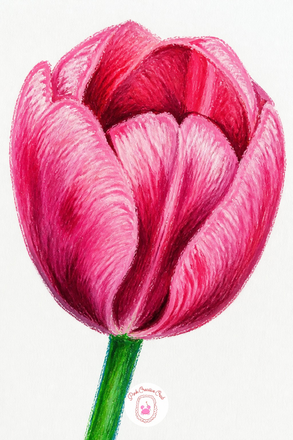 Single Tulip — Start with the cup shape of the flower head in pink or red, pressing just the outer edge first and leaving the center open. Oil pastel drawing