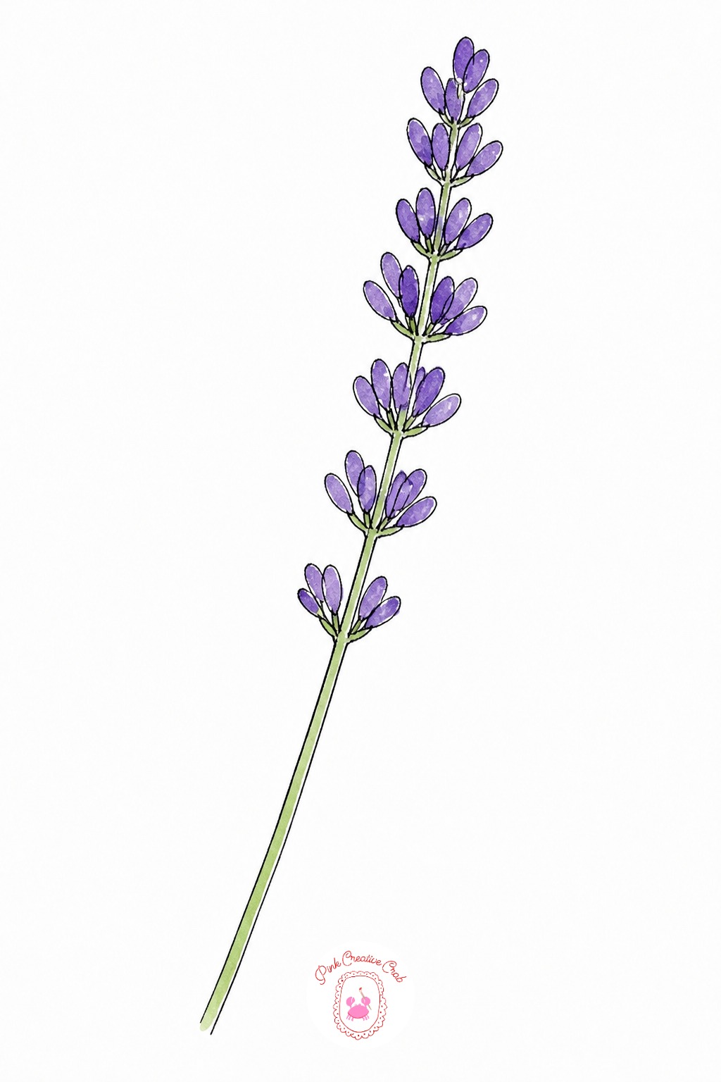 Sprig Of Lavender — Decide where the light sits before the pen moves, a single sun off to one side keeps every flower head shaded the same way. Watercolor