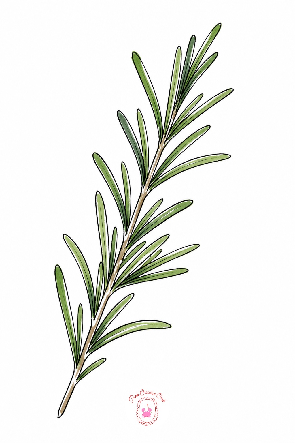 Sprig Of Rosemary — Ten minutes handles the simple version: one pen stem, short needle-like leaves flicked off both sides, a single flat green dab washed over