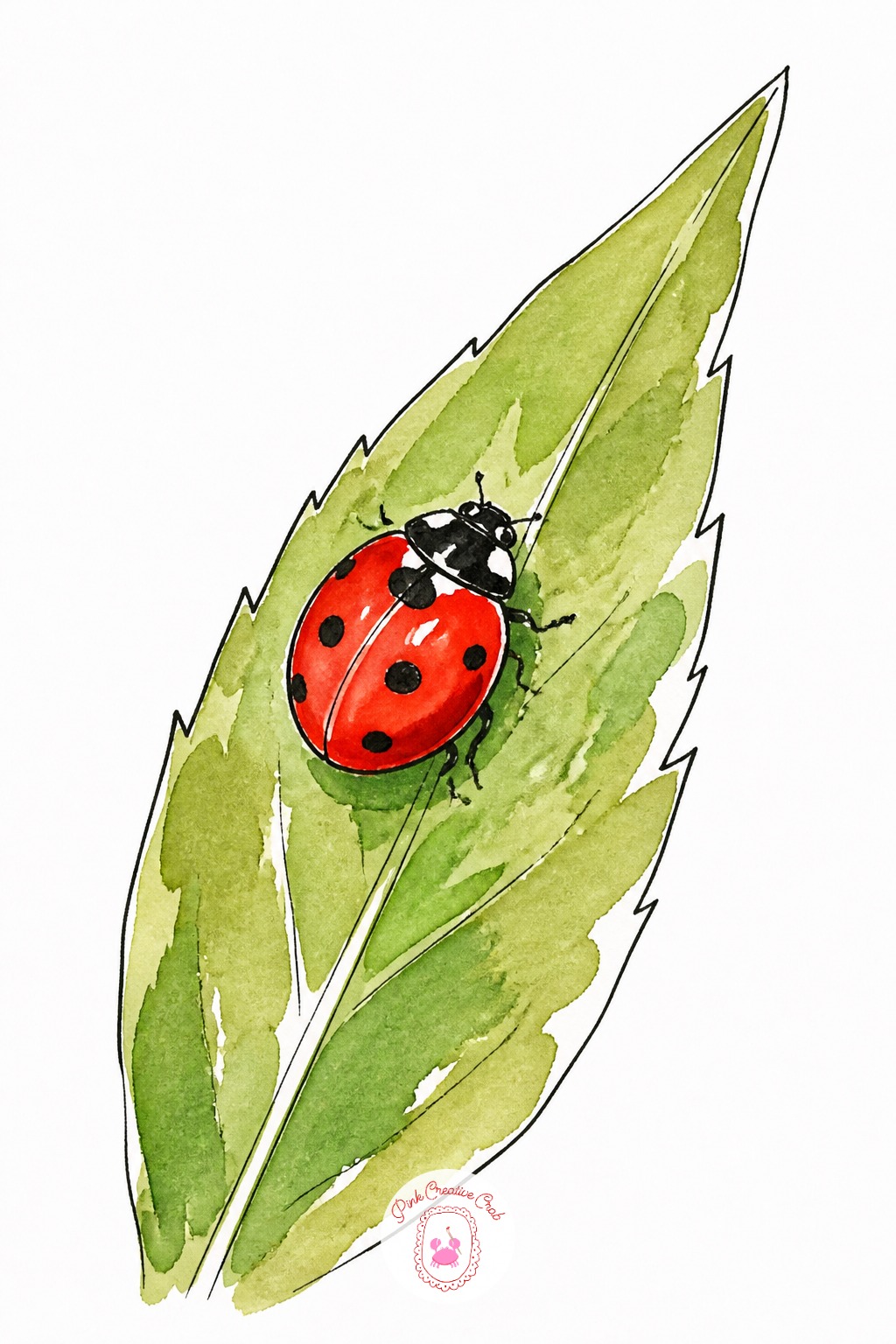 Ladybug On A Leaf — Draw the leaf shape first, a simple pointed oval with a center vein, before the ladybug lands anywhere on it. Watercolor doodles