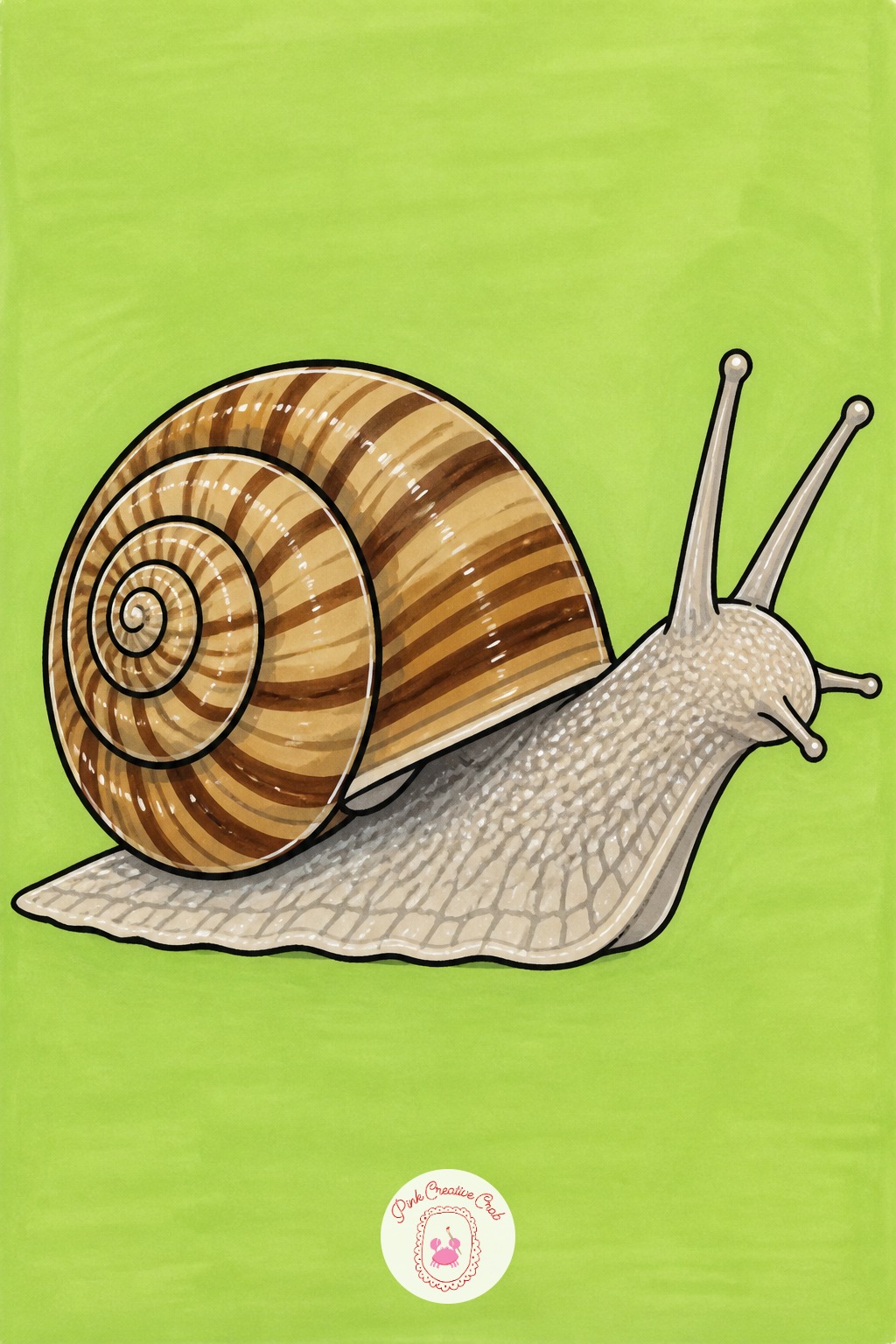 Patterned Garden Snail — Reach for a brush-tip marker rather than a chisel tip when it comes to the shell spiral, since the flexible nib can follow a curve