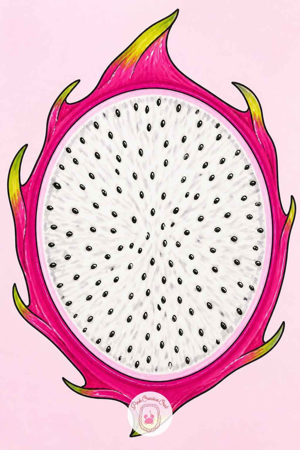 Dragon Fruit Slice — Ten minutes is enough for the basic cross section: a magenta rind, white flesh, and a scatter of small black seed dots across the center.