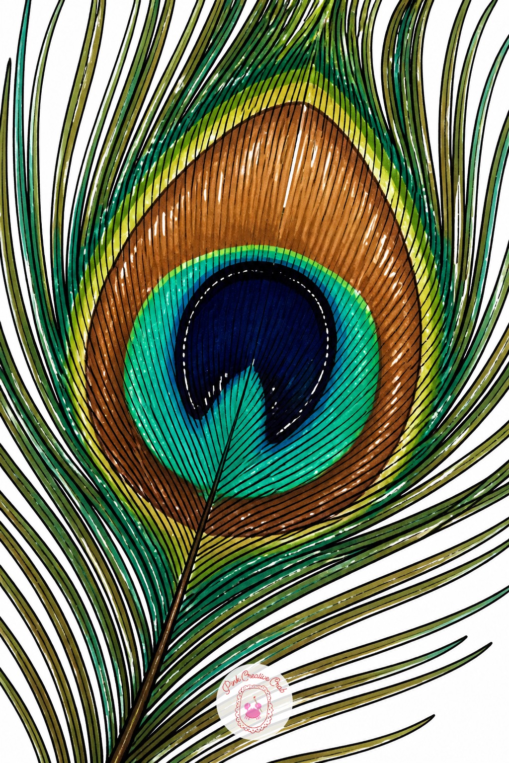 Peacock Feather Close Up — Ten minutes covers the feather's basic shape and the eye-shaped marking at the top, filled in with two or three flat color bands of