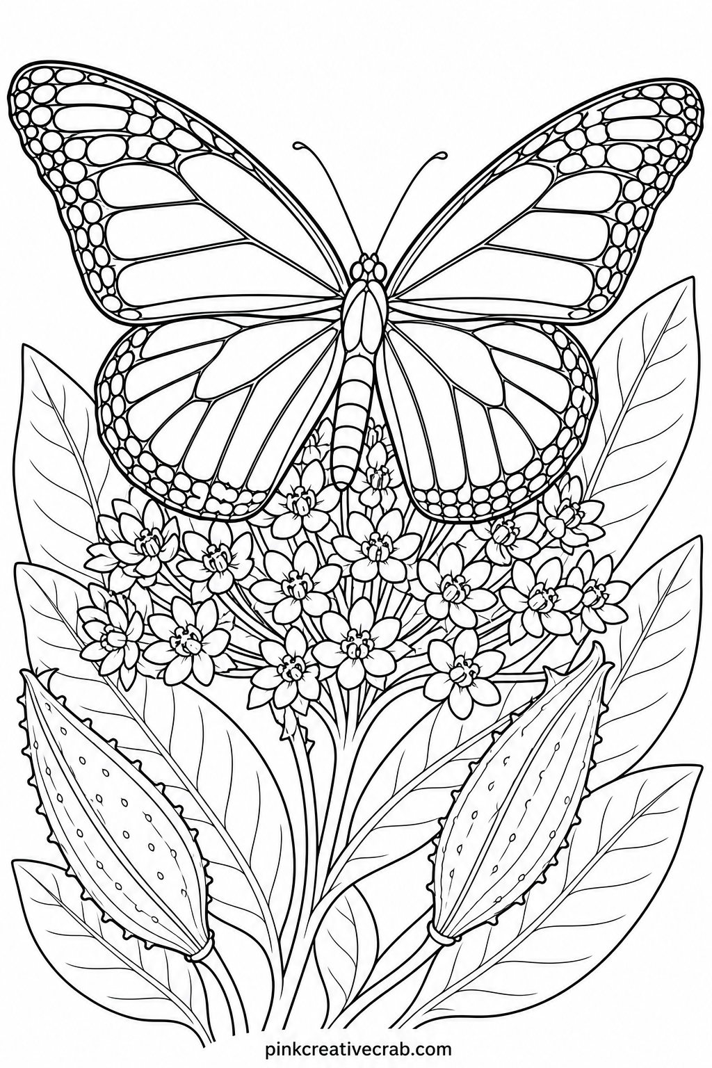 Monarch On Milkweed printable page — Monarchs suit anyone who wants a familiar shape to start with, since the orange and black pattern is easy to recognize but