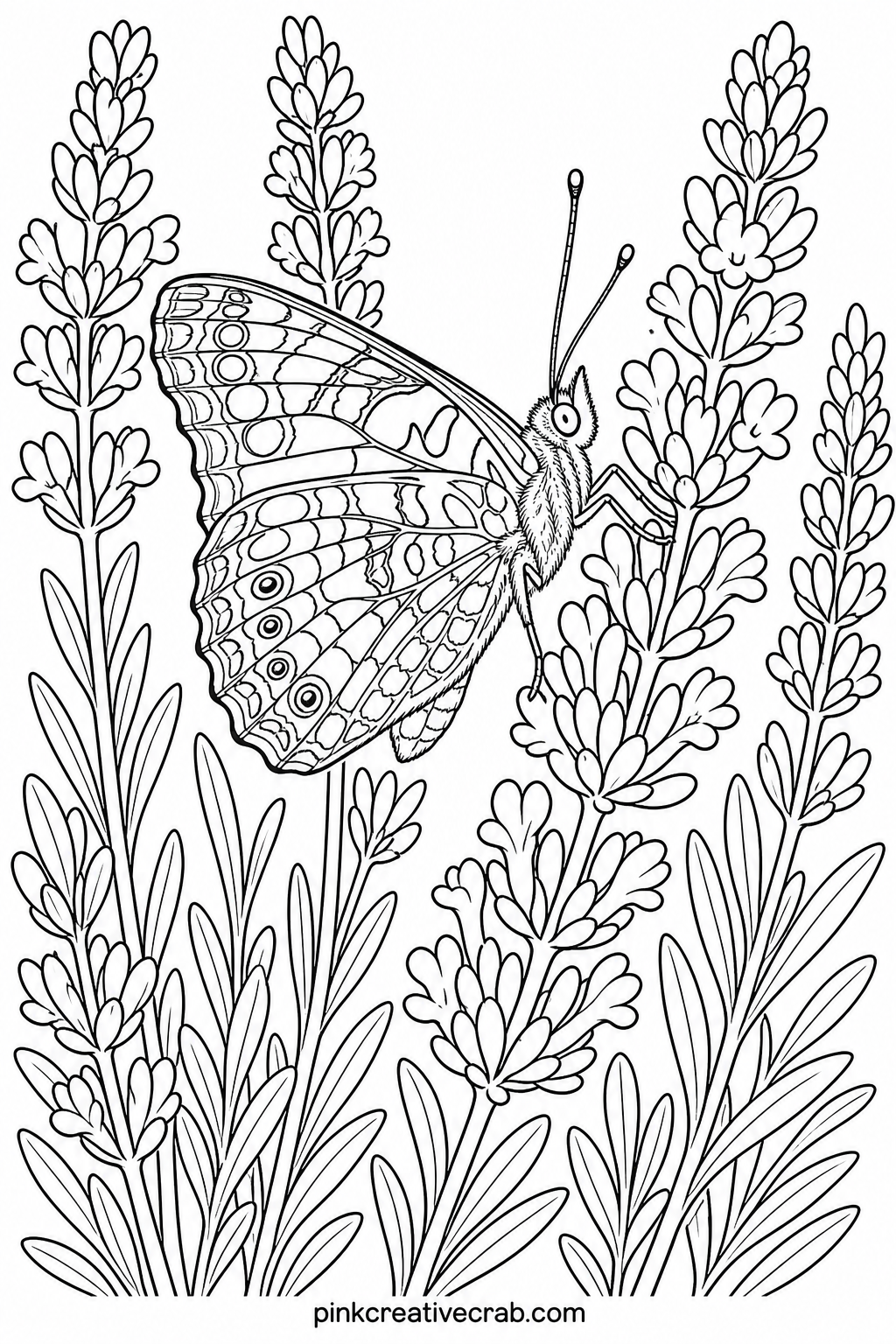 Painted Lady On Lavender printable page — Painted lady butterflies drawn on long stems of lavender give you tall narrow spaces of tiny blossoms to fill