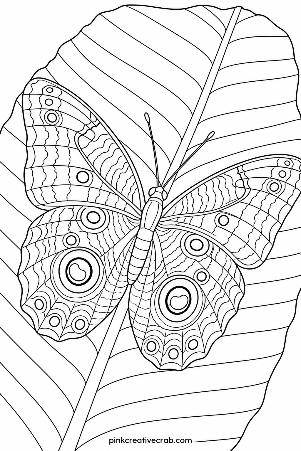 Owl Butterfly On Banana Leaf printable page — The owl butterfly's eye-spot wing pattern asks what colors could actually belong to an eye, so this is a good