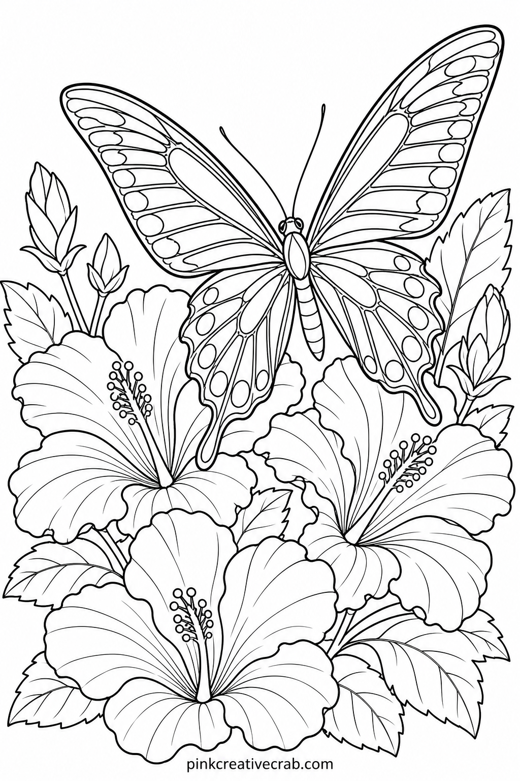Birdwing Among Hibiscus printable page — Birdwing butterflies have unusually elongated wings compared to most garden species, so colored pencils work better