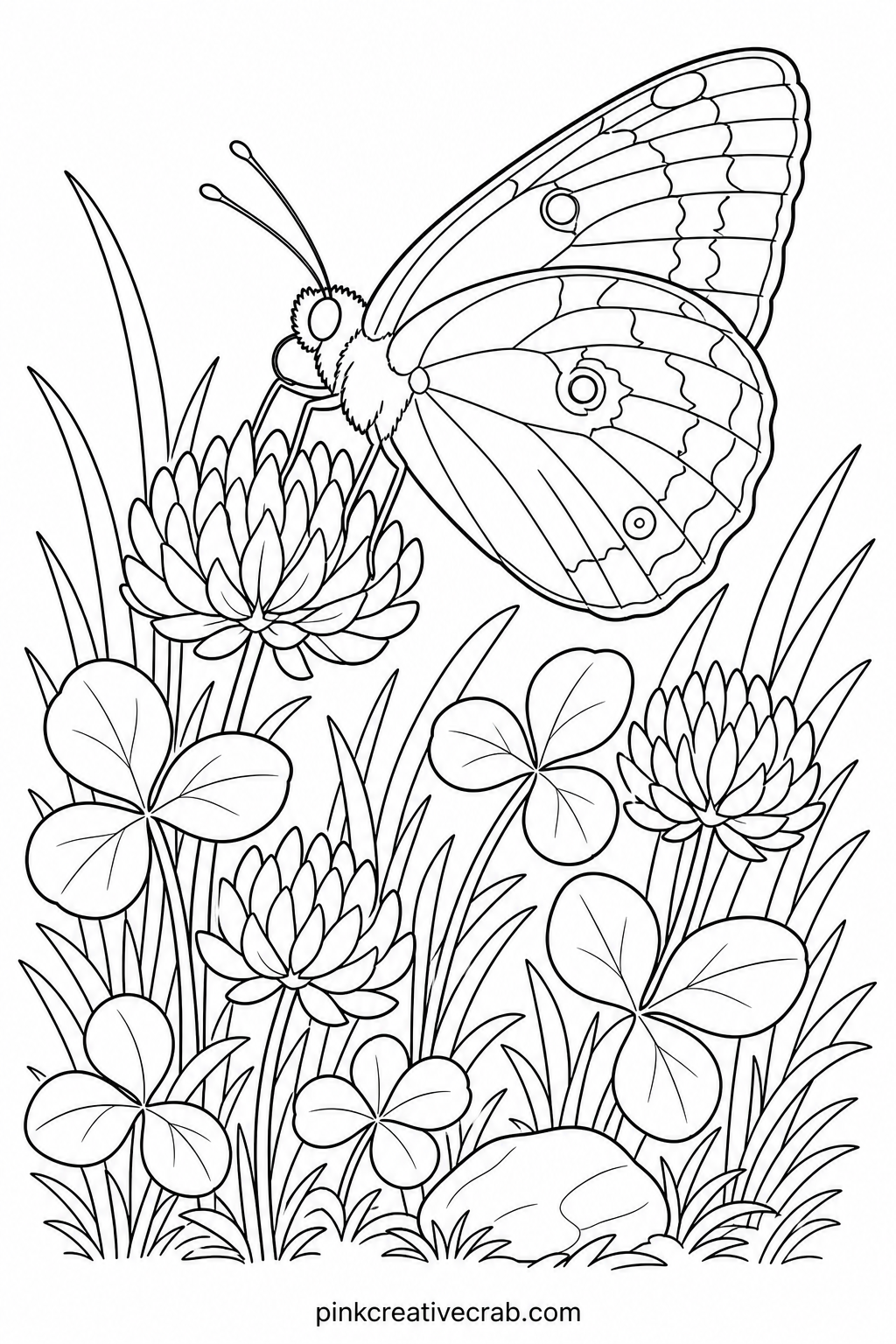 Clouded Sulphur On Clover printable page — Sulphur butterflies suit anyone newer to detailed coloring, since the wing pattern is simpler than most pages in
