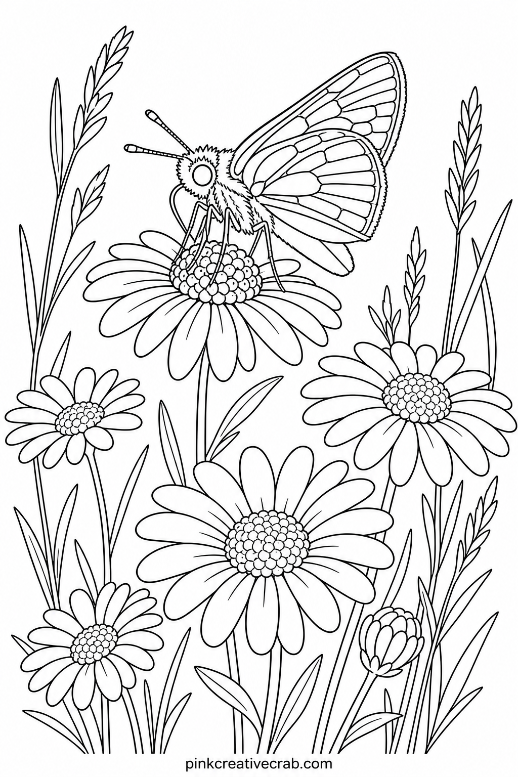 Skipper On Wild Daisies printable page — Skipper butterflies are small and plain compared to the rest of this set, so this page works well as a gift tag once