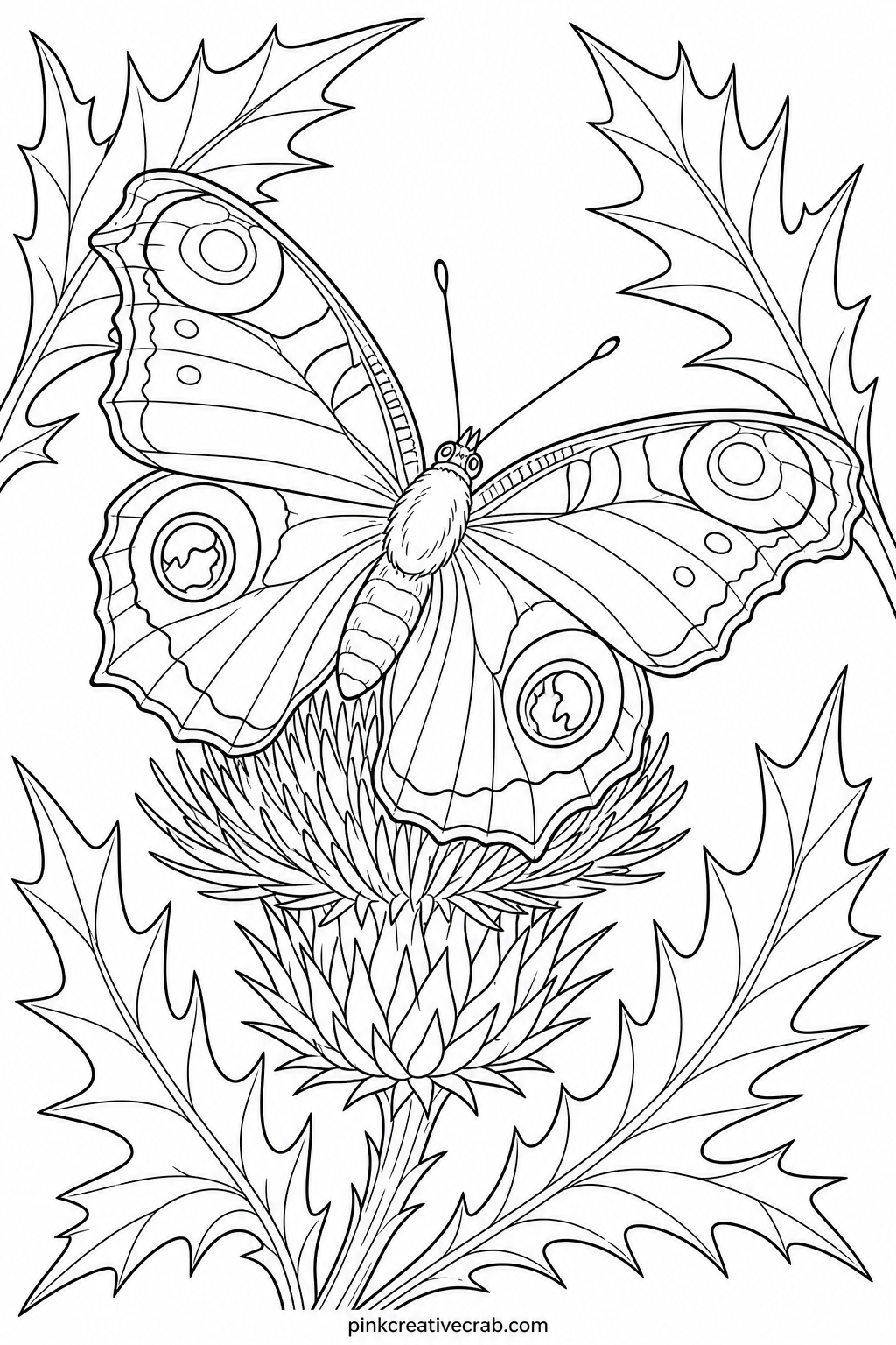 Peacock Butterfly With Eye Spots printable page — The usual mistake with this page is rushing past the four large eye spots to get to the rest of the wing.