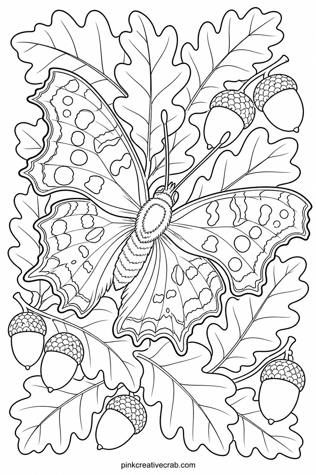 Comma Butterfly On Oak Leaves printable page — Ragged wing edges make the comma butterfly a good match for the swallowtail page earlier in this set, since