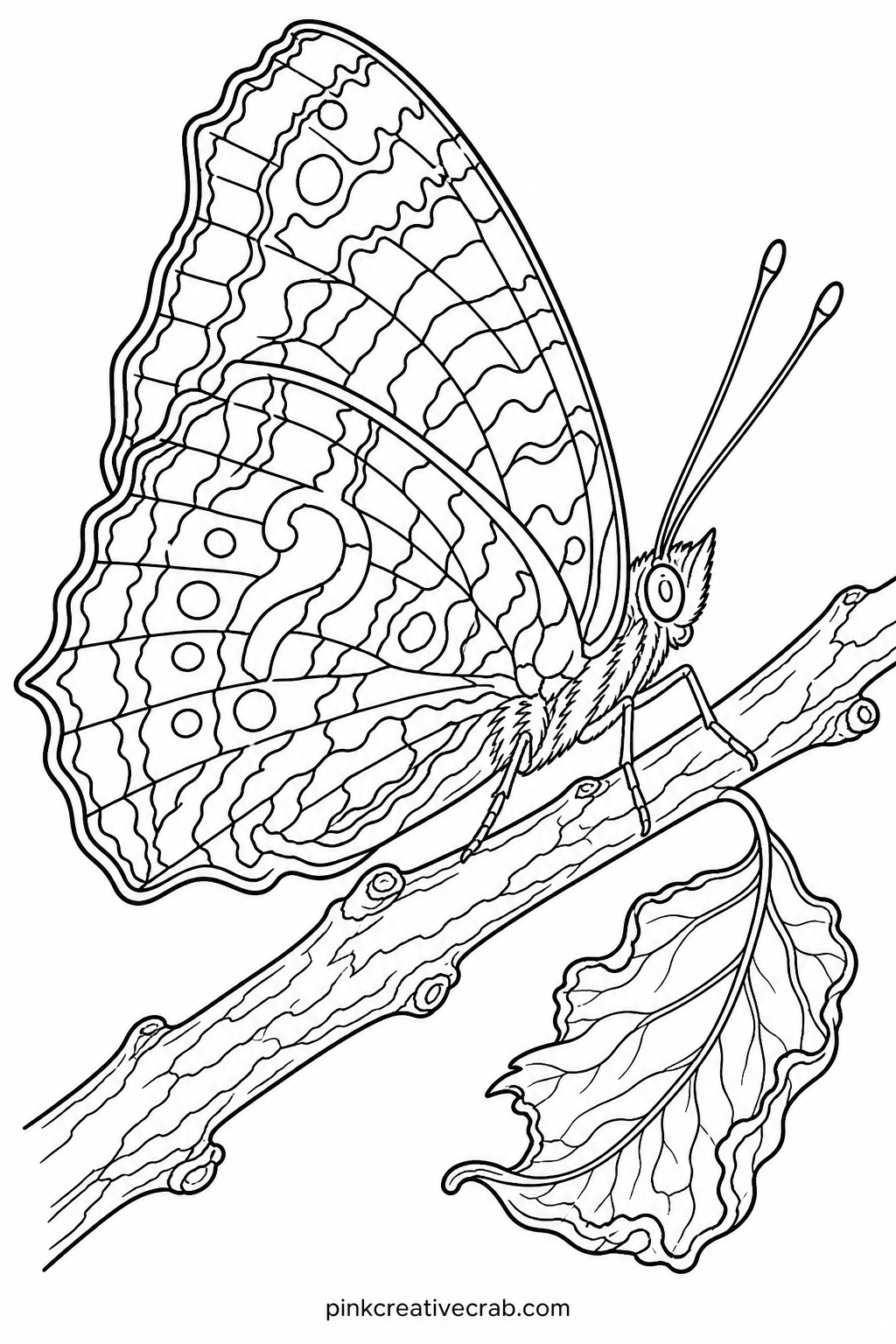 Question Mark Butterfly At Rest printable page — Once colored, this page frames well on its own next to a plain mat, since the folded wing position shows
