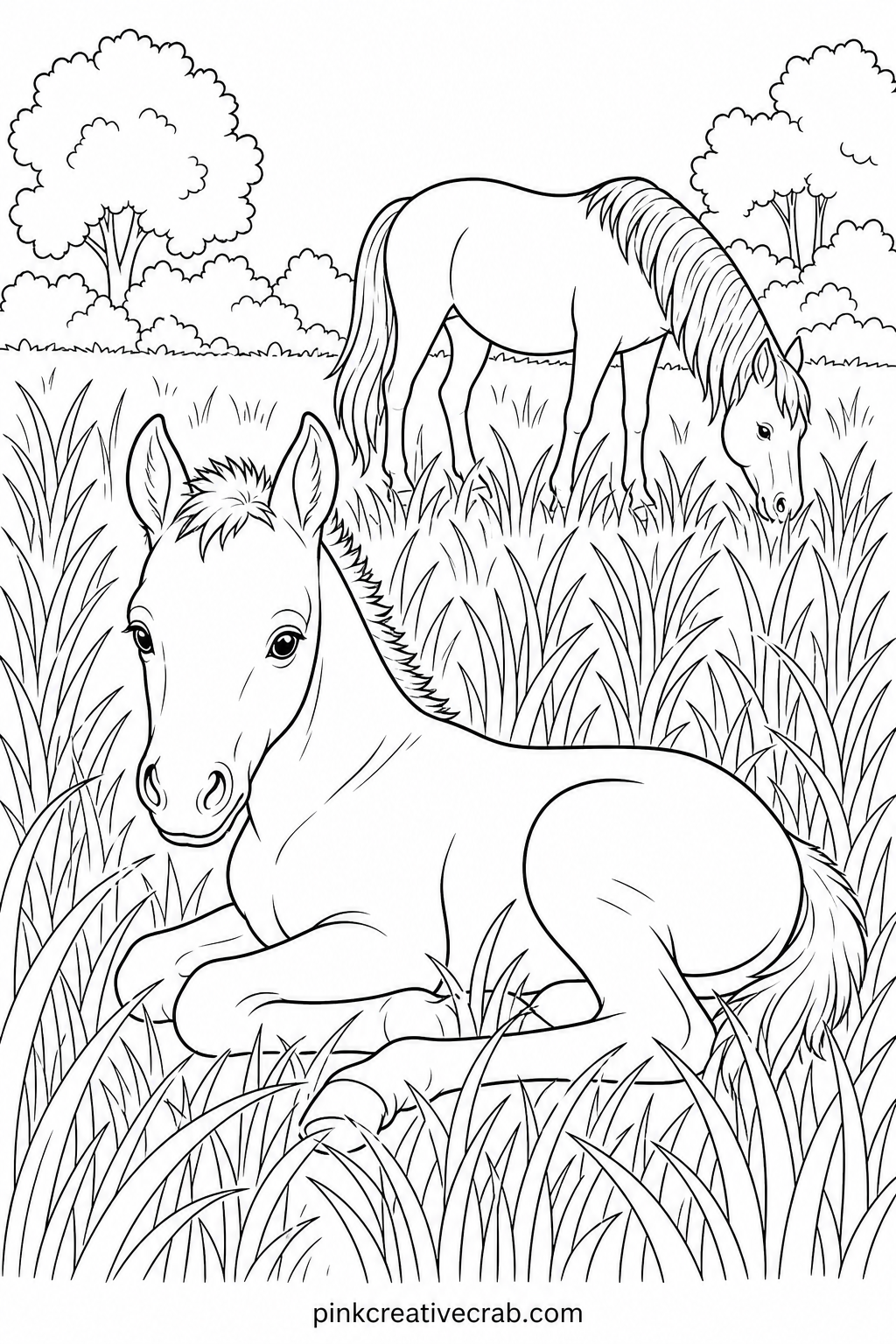Foal Resting In Tall Grass printable page — Leave small patches of the foal's coat pure white before touching any pencil to the page, especially along the back