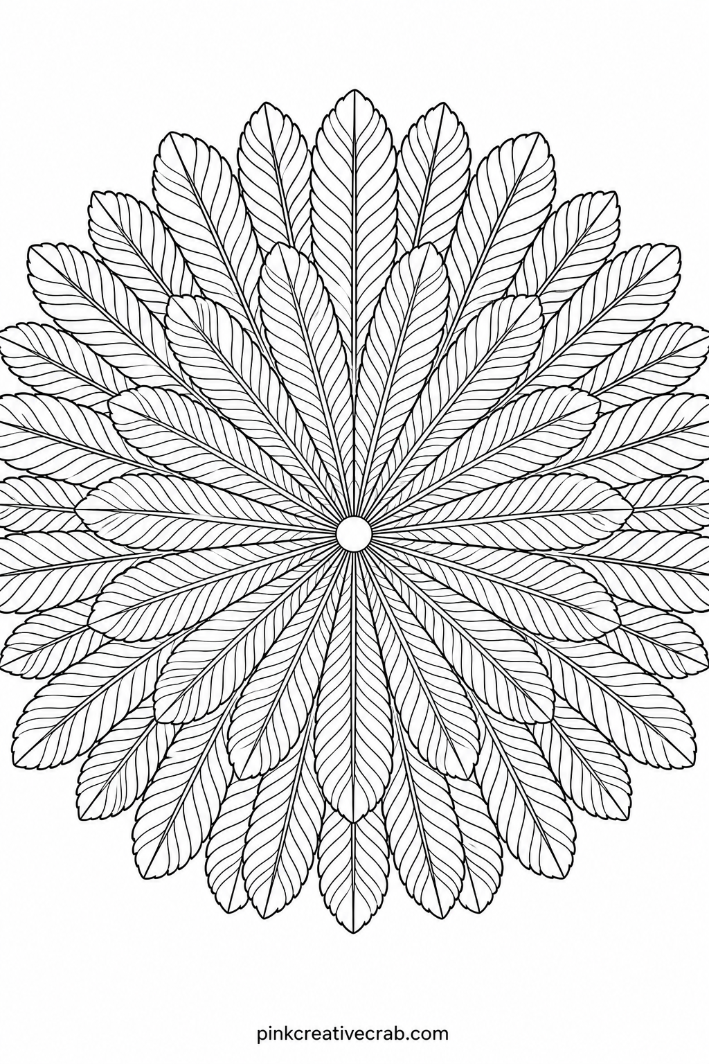 Feather Fan Mandala printable page — Built from a ring of long feathers fanning out from the center, each one marked with fine parallel barbs, this sheet suits