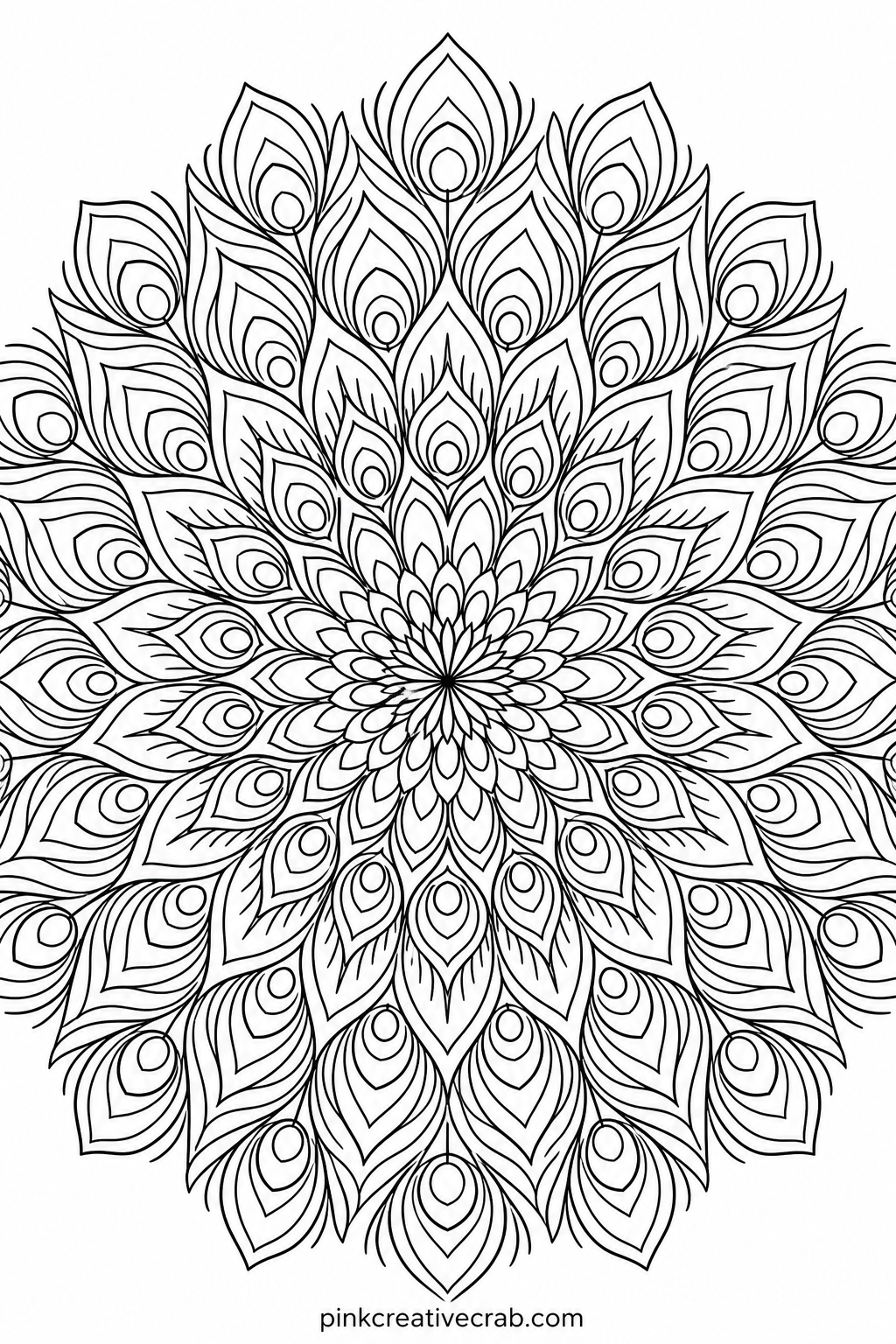 Peacock Plume Mandala printable page — This sheet carries some of the finest linework in the set, with tiny eye-shaped markings repeated across every plume, so