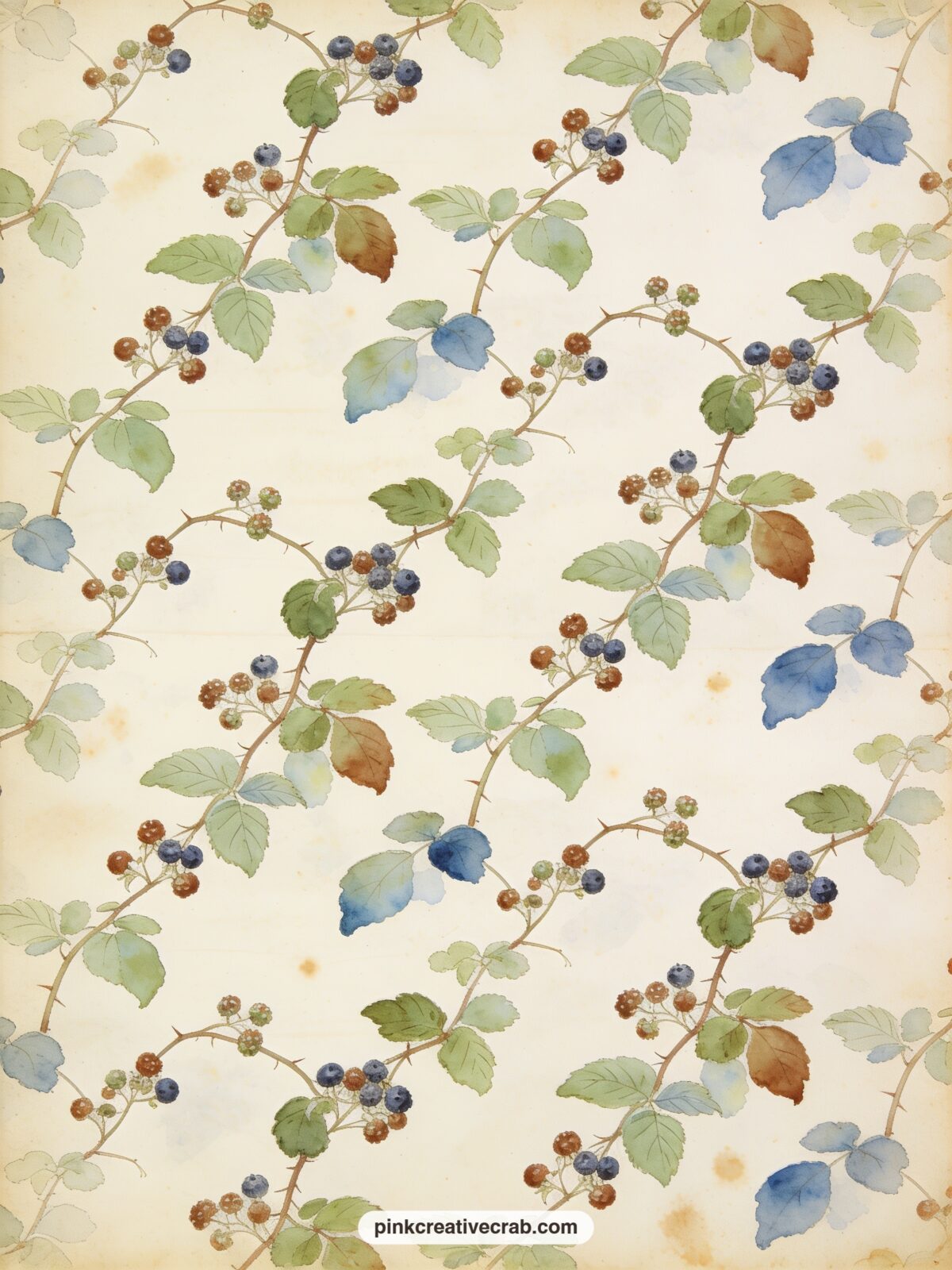Blackberry Bramble Pattern printable page — Trailing bramble stems with small berries and leaves repeat in a loose all over design, a soft fit under a photo