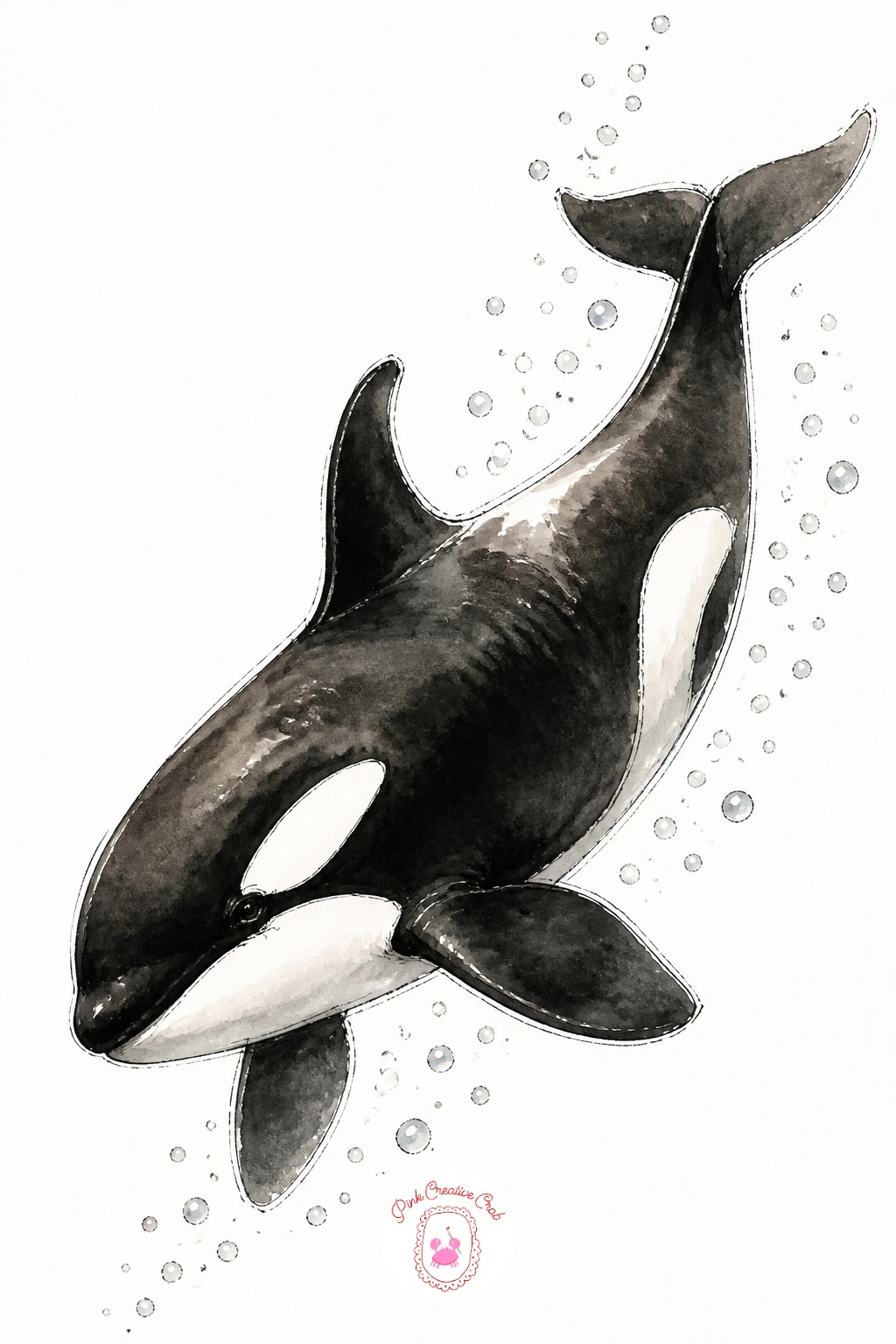 Orca Swimming With Bubbles — An orca's proportions rely on one comparison: the white eye patch sits well below the actual eye line, not beside it, which is the