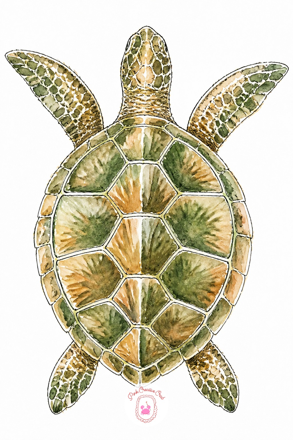 Sea Turtle From Above — Viewed from directly above, a sea turtle's shell becomes the whole composition, so draw the shell pattern as a grid of hexagon-ish