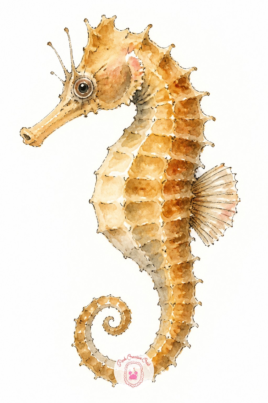 Seahorse in Profile — The usual mistake with a seahorse is drawing the curl of the tail too tight and symmetrical, which flattens the whole pose. Cute animal