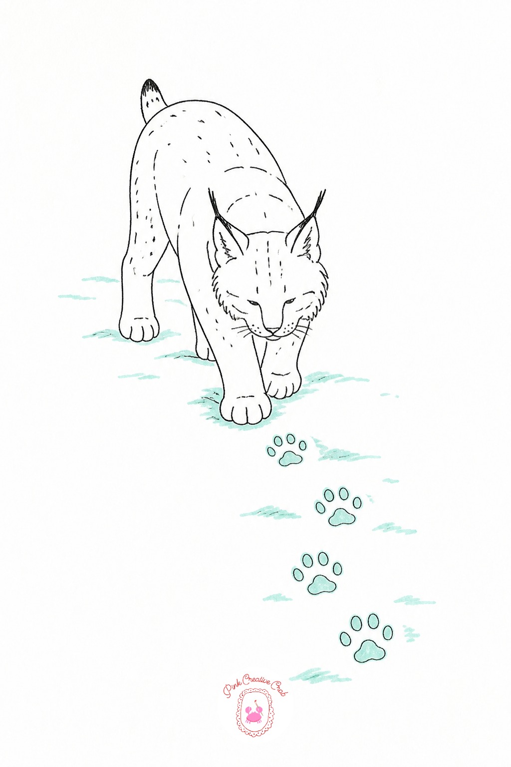 Lynx Tracking Pawprints in Snow — Lay down a trail of simple pawprint shapes across the lower page first, spaced in a slight curve rather than a straight line
