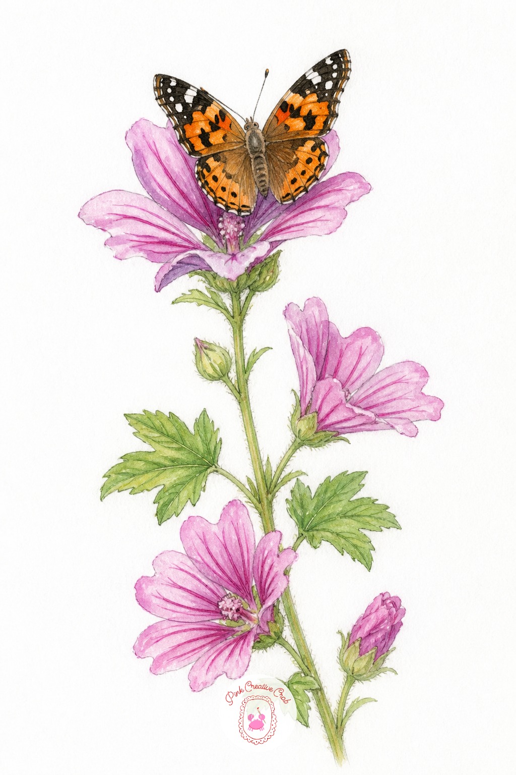 Butterfly Resting on Common Mallow — Mallow flowers have five petals with faint darker veins running through each one, and that vein detail is what separates