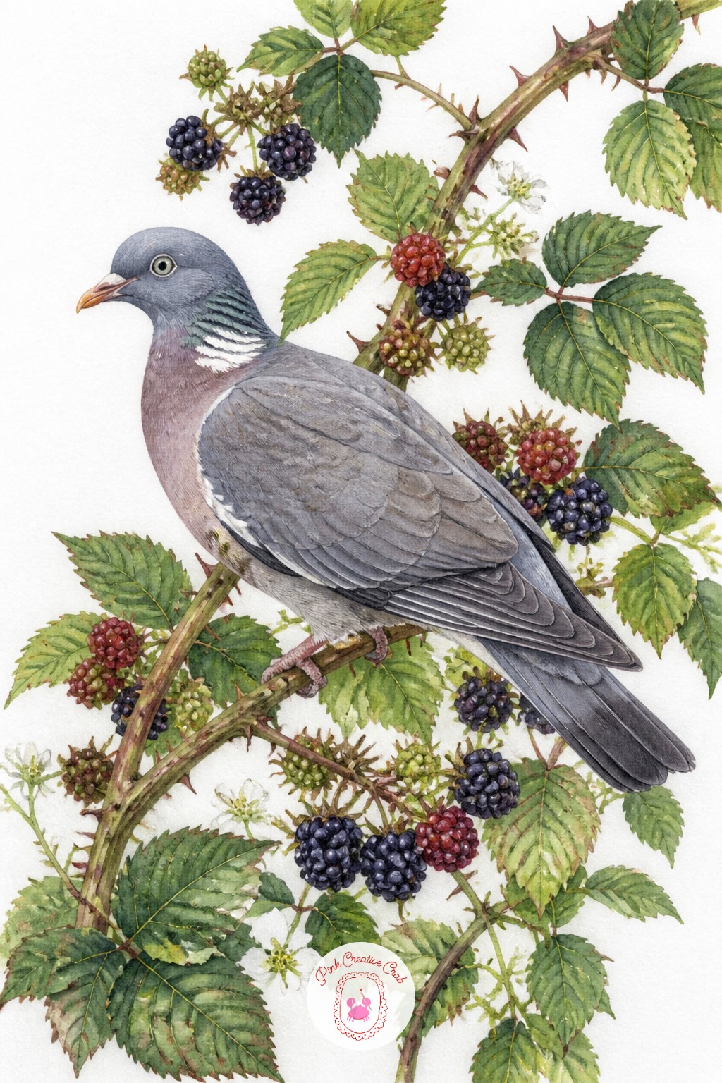 Wood Pigeon Among Bramble and Blackberries — Bramble stems carry thorns at irregular intervals, and spacing them unevenly in pencil is what keeps the stem
