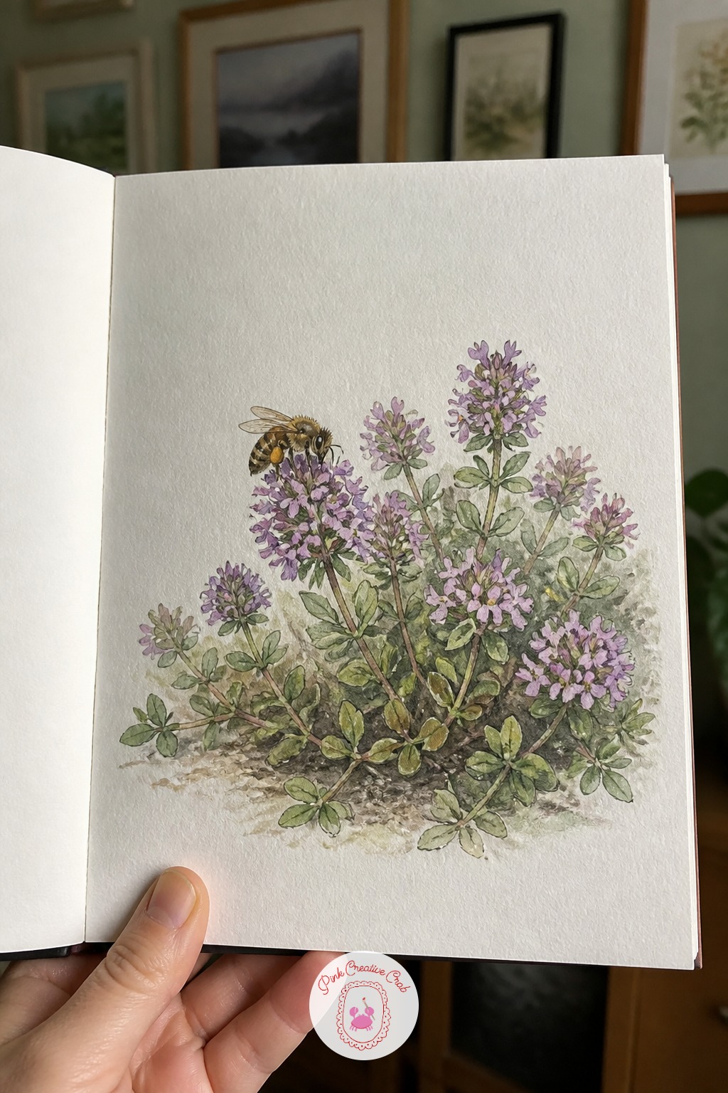 Bee Loading Pollen on Wild Thyme — Lay down the thyme first as loose dabs of grey green rather than drawn leaves. Botanical sketchbook