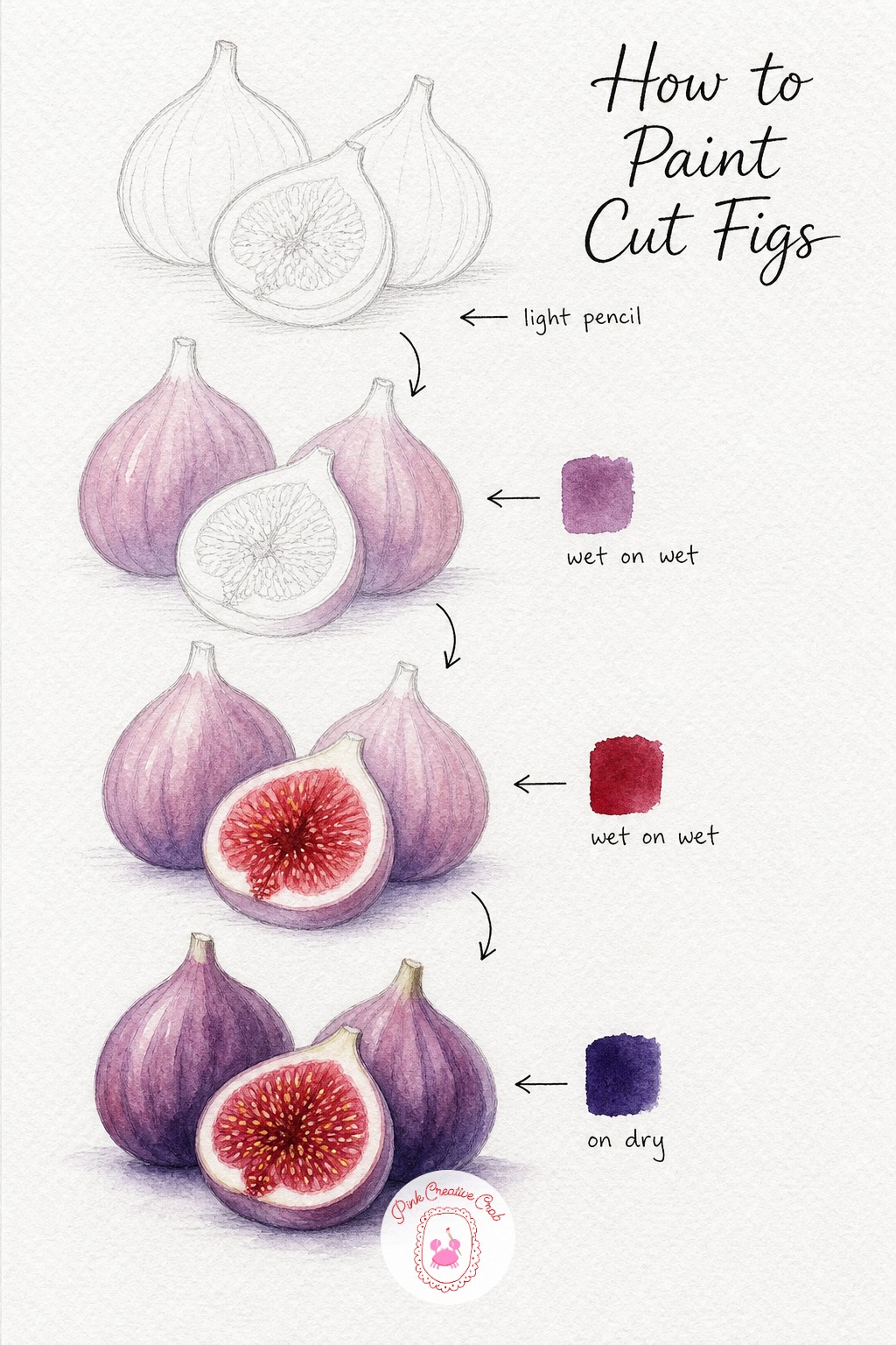 Figs Cut in Half — Sketch two whole figs with their pointed stem ends and one fig sliced open to reveal the star shaped center. Watercolor fruit tutorial