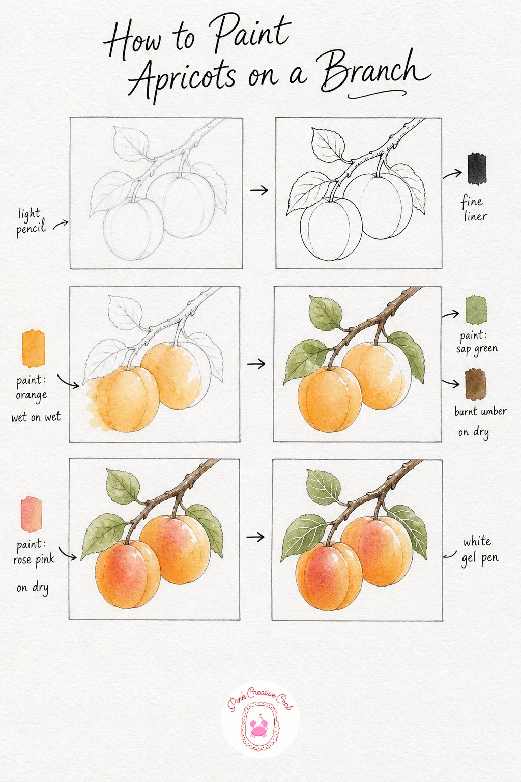 Apricots on a Branch — Sketch a short branch holding two apricots nestled among a few pointed leaves, then trace it all in fine ink once the pencil feels
