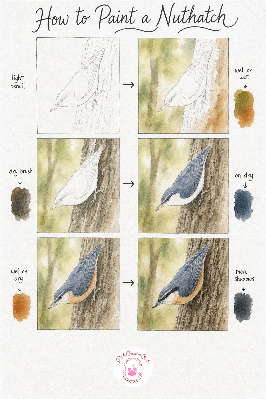 Nuthatch On Tree Bark — Sketch a nuthatch in its signature head down pose, clinging to bark the way only they do among garden birds. Watercolor birds tutorial