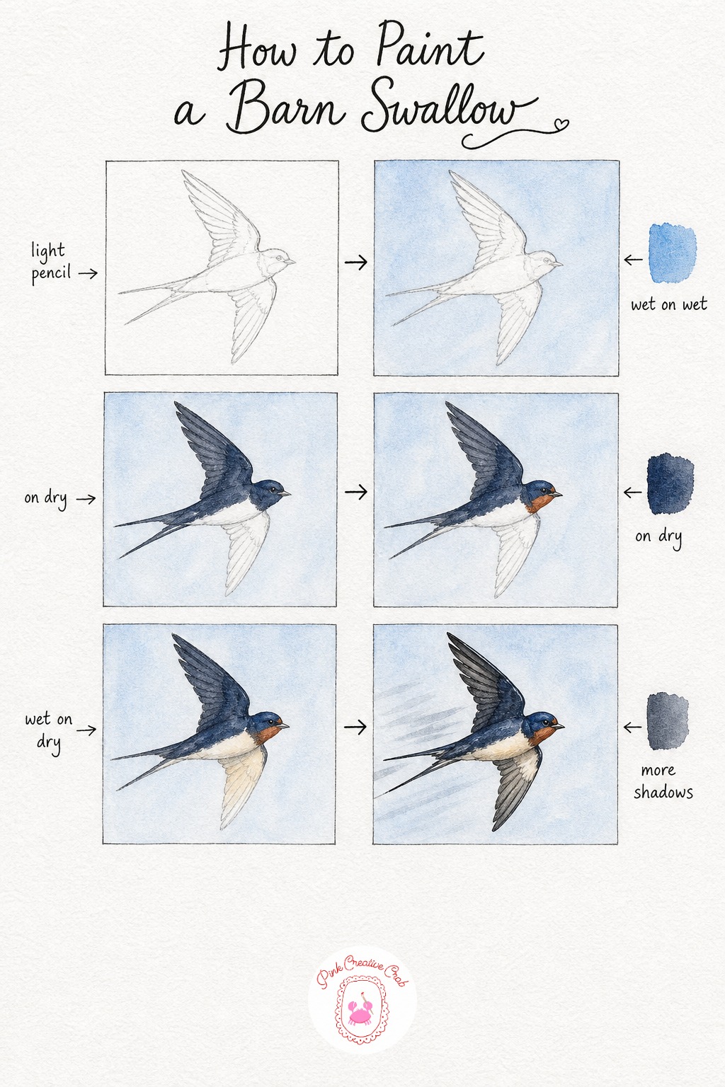 Barn Swallow In Flight — Sketch a swallow in full flight, wings swept back and that signature deeply forked tail spread wide behind it. Watercolor birds