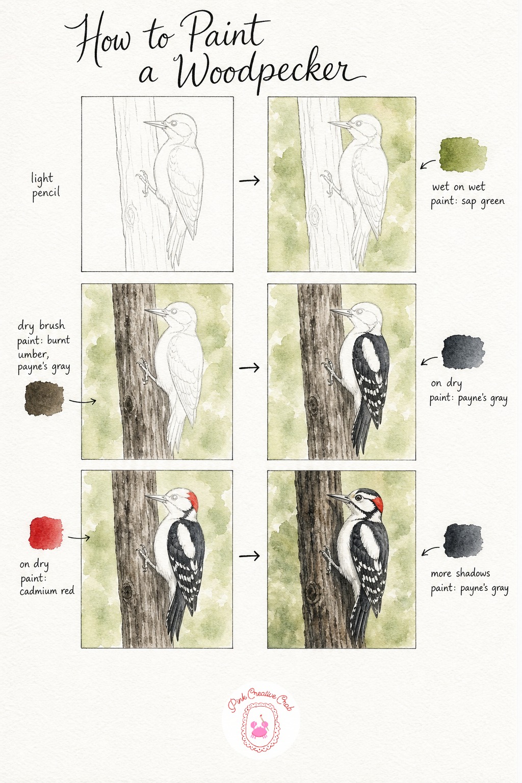 Woodpecker On A Tree Trunk — Sketch a woodpecker gripping a vertical trunk, body angled upward and tail braced stiffly against the bark for support, that
