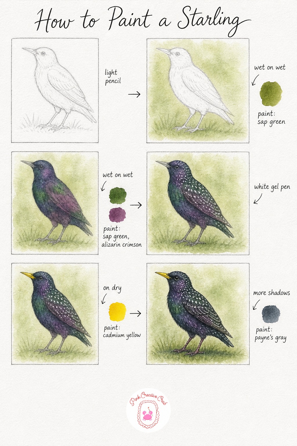 Starling With Iridescent Feathers — Sketch a starling standing upright on short grass, body compact and beak pointed slightly downward, a simple everyday pose