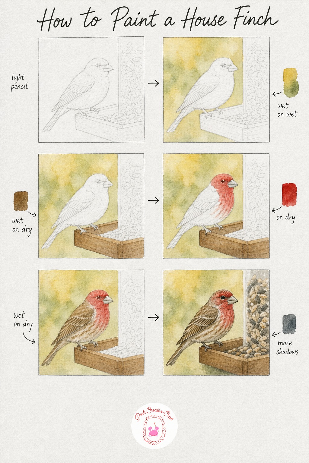 House Finch At A Feeder — Sketch a house finch perched casually on the edge of a seed feeder, body compact and head slightly tilted as if checking the seed