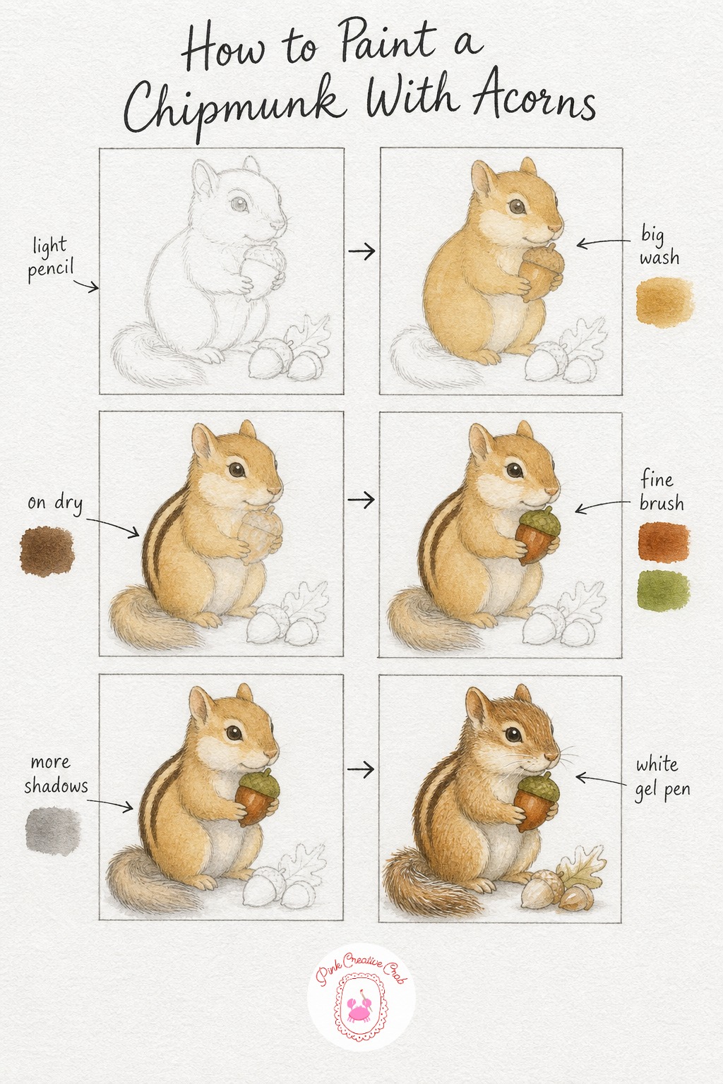 Chipmunk With Acorns — Sketch the chipmunk sitting upright on its haunches, paws held close together in front holding a small acorn. Watercolor animals tutorial
