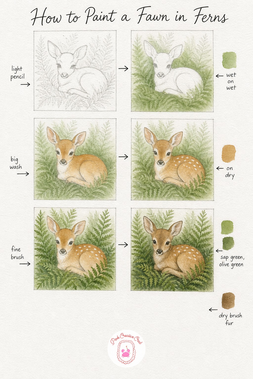 Fawn Resting In Ferns — Sketch the fawn curled up with legs tucked beneath its body, surrounded by tall loose fern frond shapes sketched lightly so you know