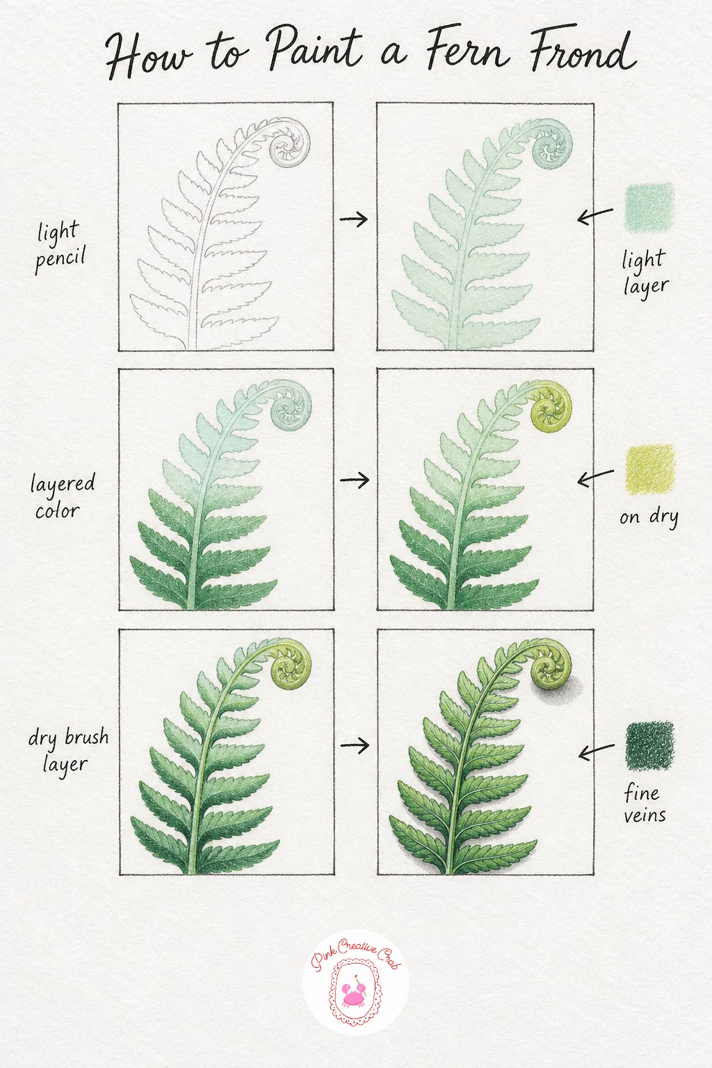 Fern Frond Unfurling — Sketch one long fern frond with its signature feathery leaflets branching off a central stem, letting the very tip curl inward like a