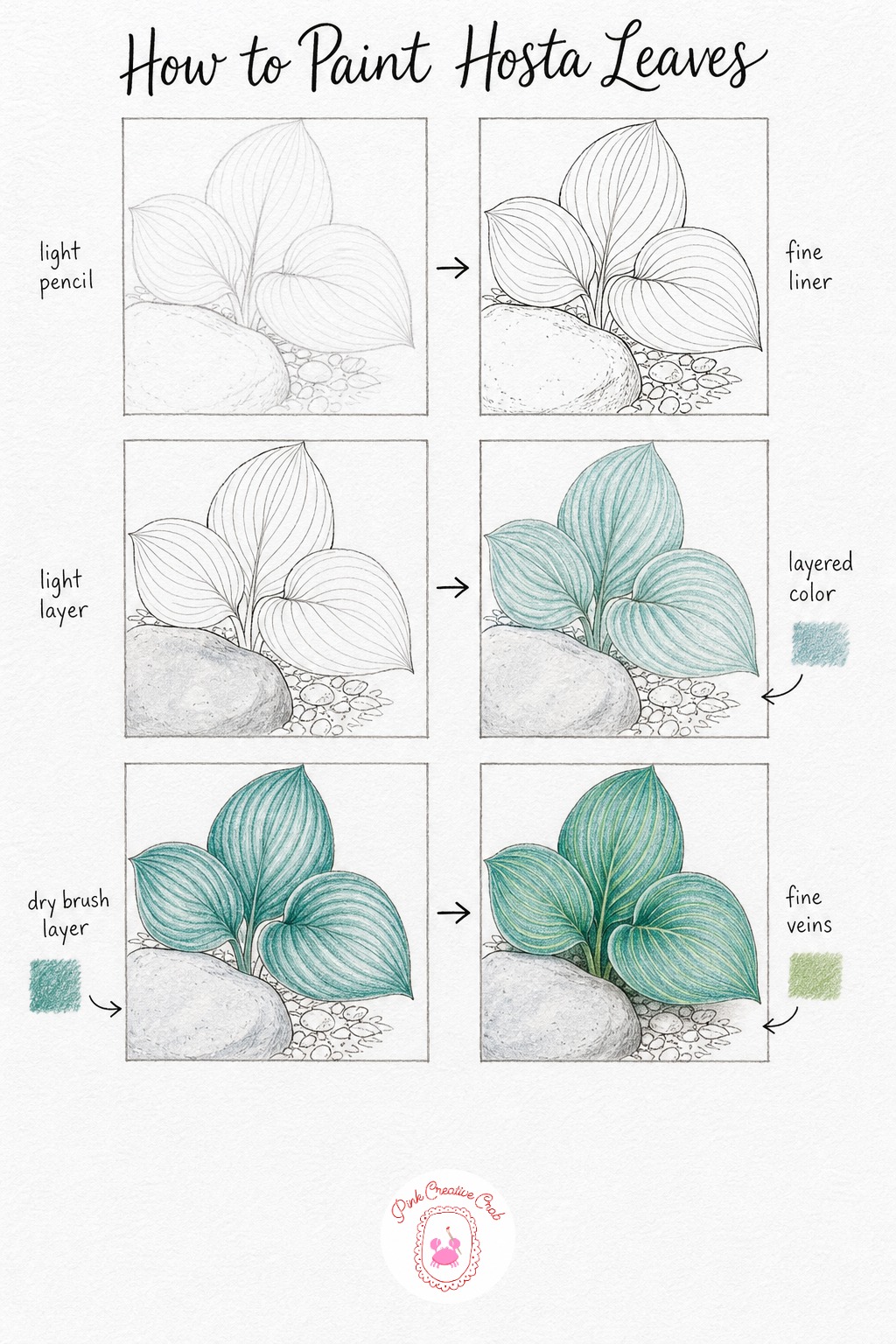 Hosta Leaves by a Stone — Sketch three large hosta leaves with their characteristic parallel ribs running from base to tip, placed beside a simple rounded