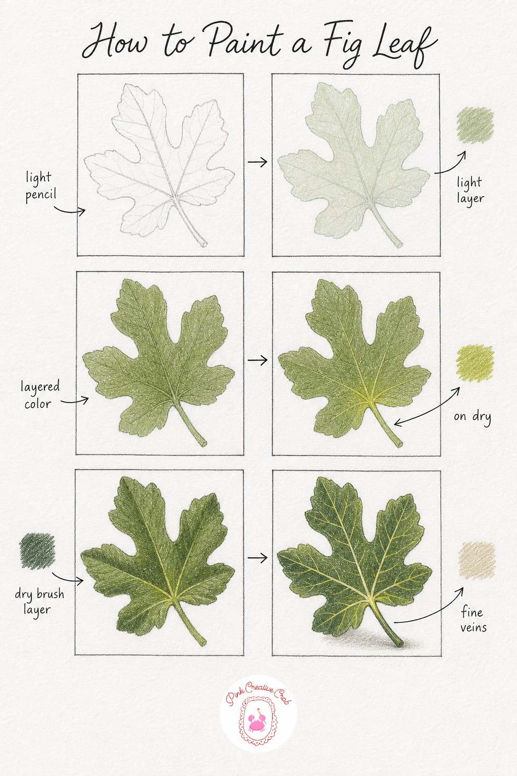 Fig Leaf Study — Sketch one large fig leaf with its bold, deeply cut lobes, which are wider and rounder than an oak leaf's. How to draw leaves