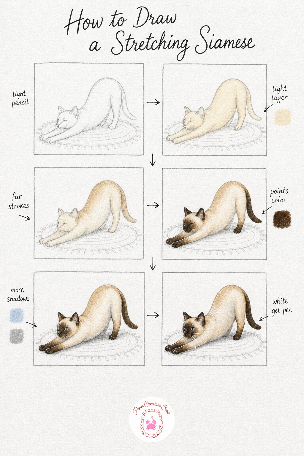 Siamese Stretching On A Rug — Siamese cats are all long lines, so sketch the body stretched out fully, front paws reaching forward and the spine arched high in