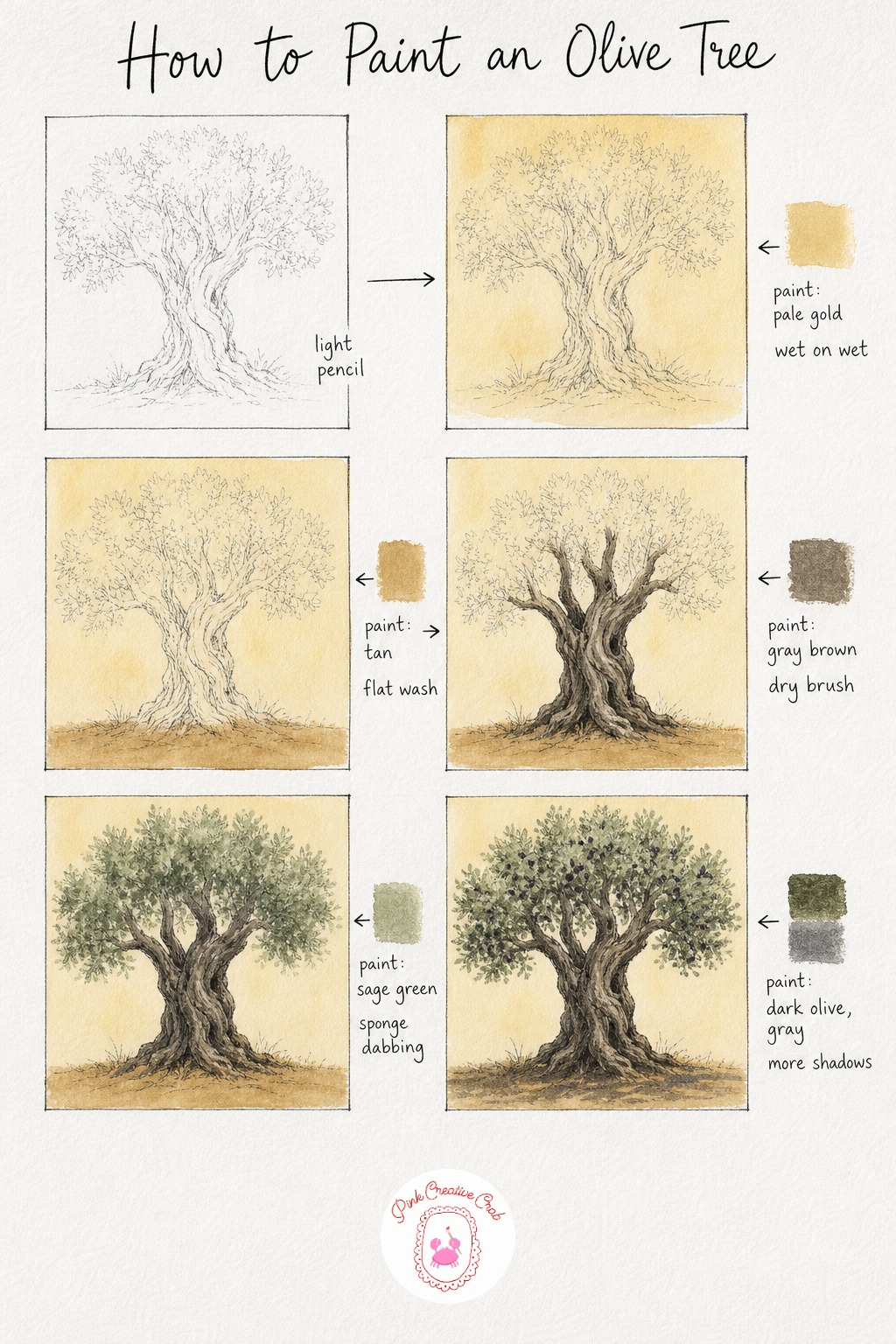 Old Olive Tree — Sketch a short, very thick trunk with visible twists and knots, topped by a wide, somewhat flattened canopy. How to paint trees