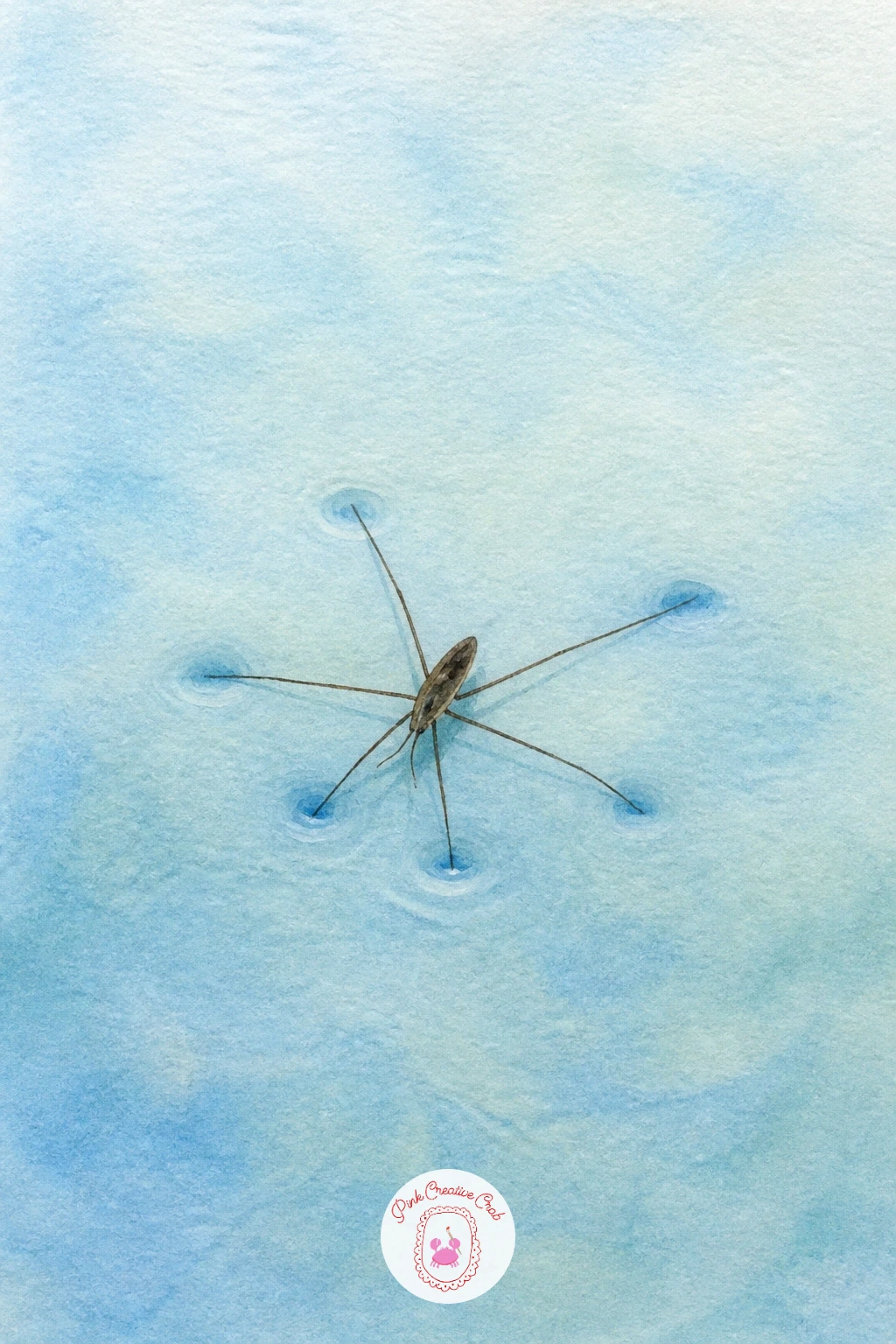 Pond Skater Gliding on the Water",'content':" Try something almost graphic next: a pond skater, all thin legs and stillness, resting on the water's surface.