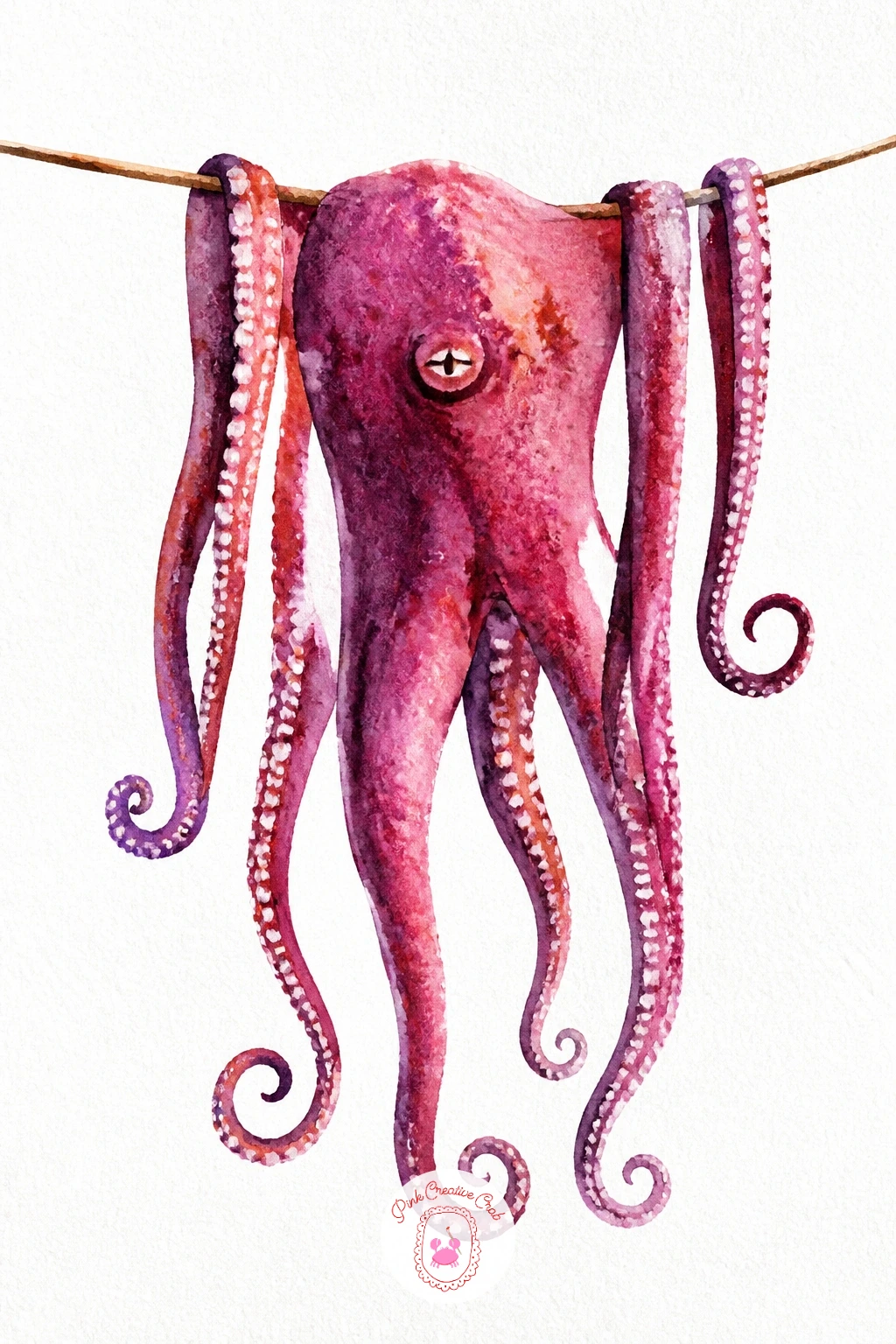 Octopus Drying on a Line — Take a detour into something a little more unusual with an octopus drying on a line, a common sight along Greek harbors and a fun