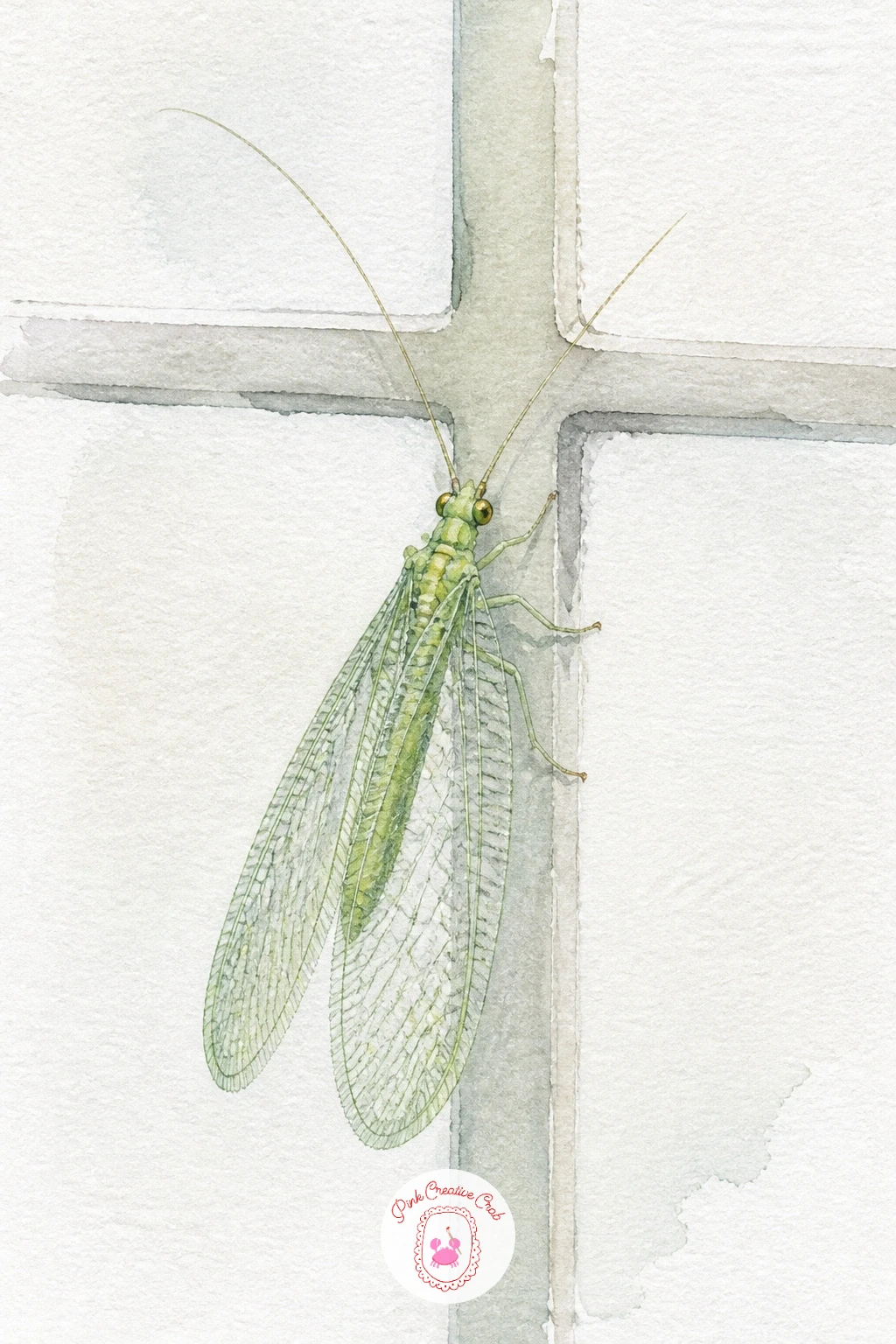 Lacewing on a Window Pane — Try something architectural with a lacewing on a window pane, where a few faint grey lines suggest glass and a frame around a